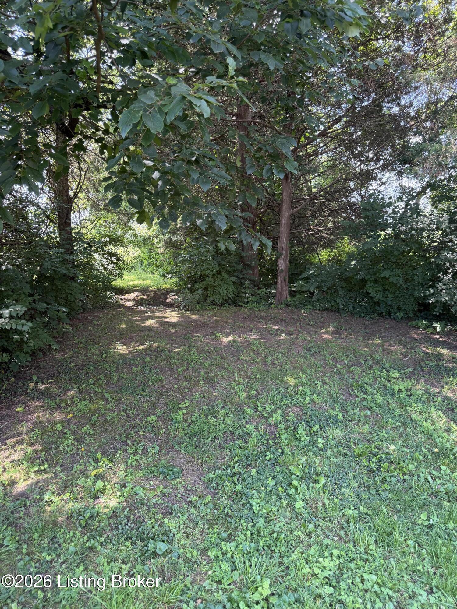 10321 Oak Grove Rd Property Photo 3
