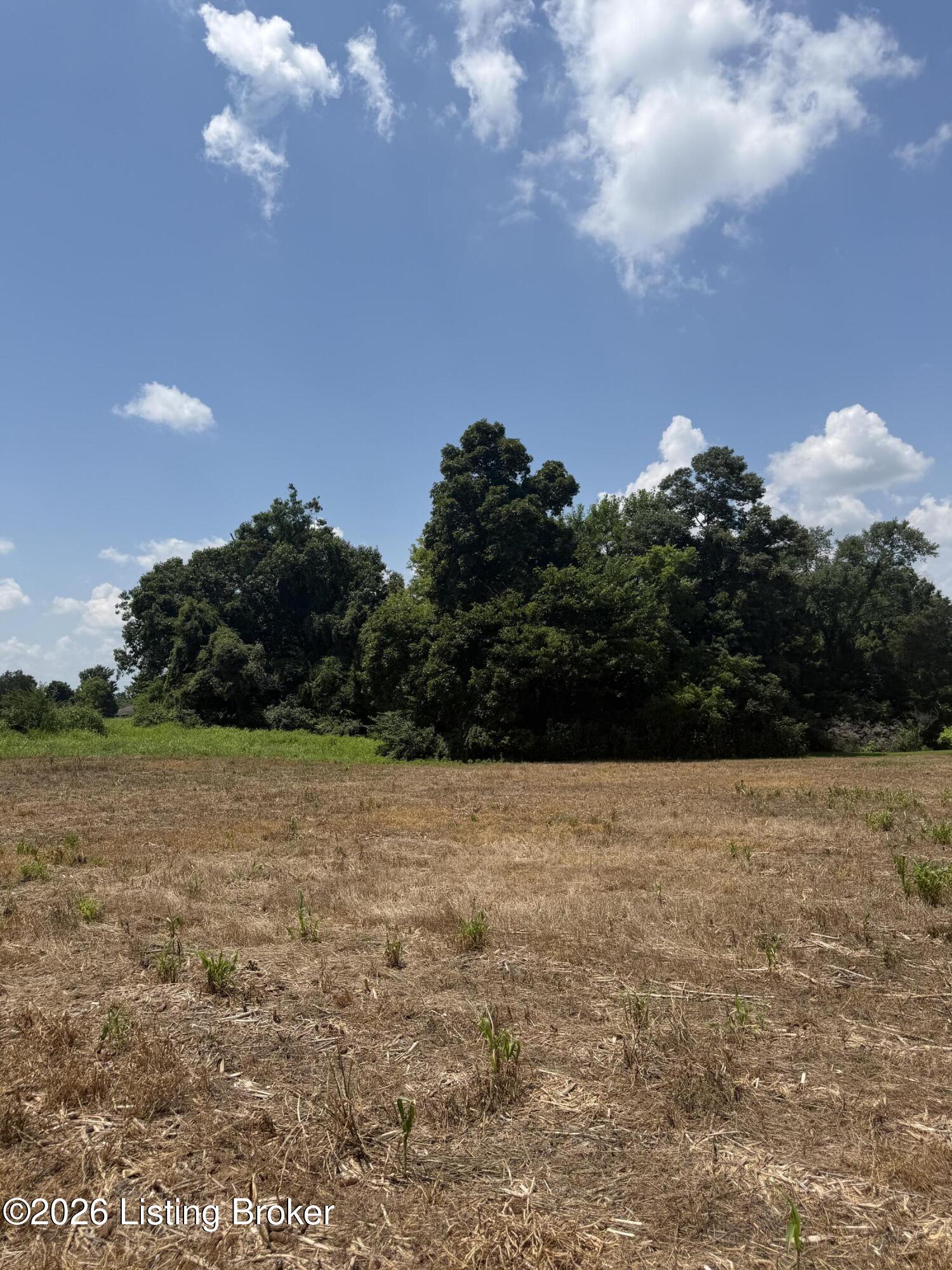 10321 Oak Grove Rd Property Photo 4