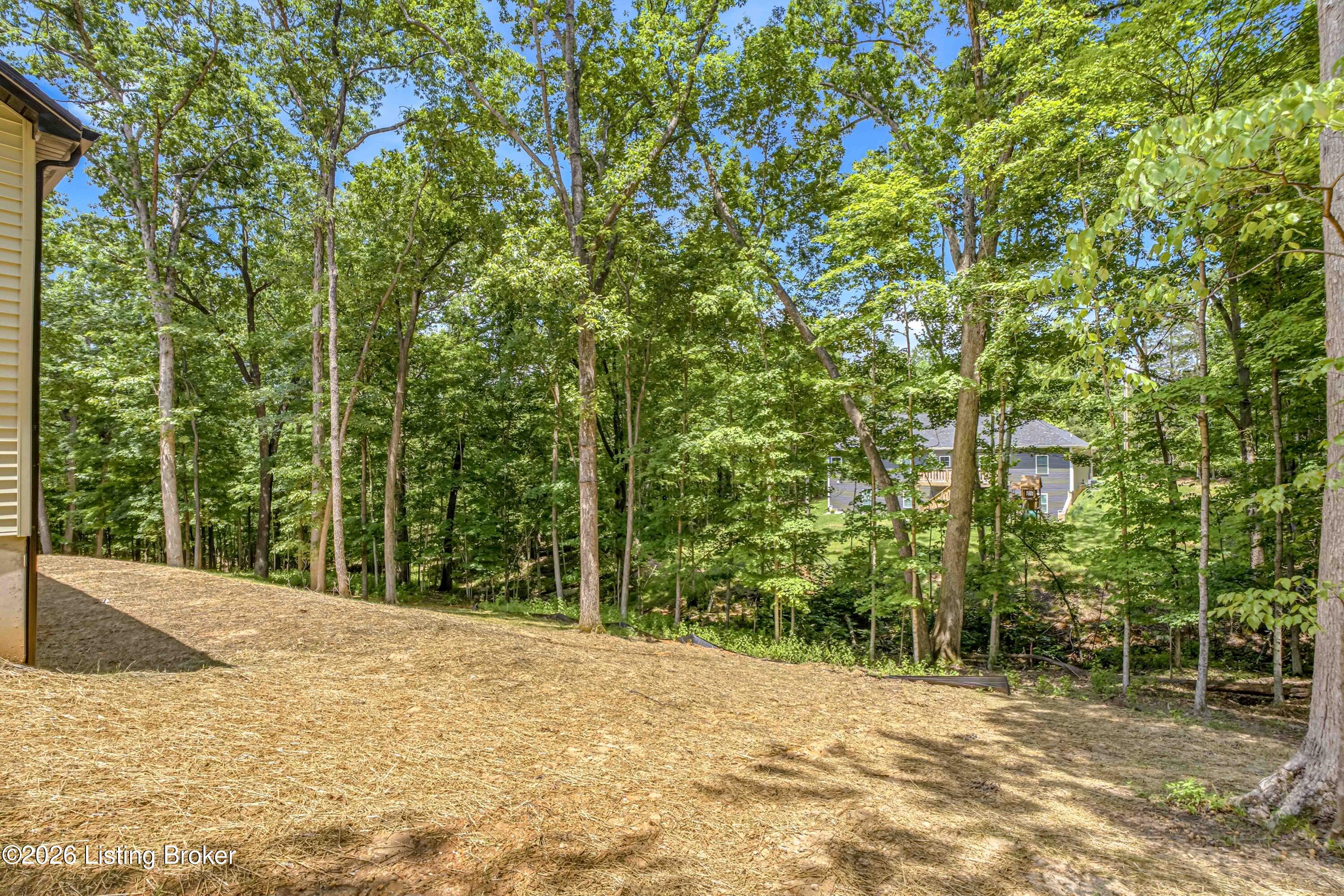 40 Columbine Ct Property Photo 12