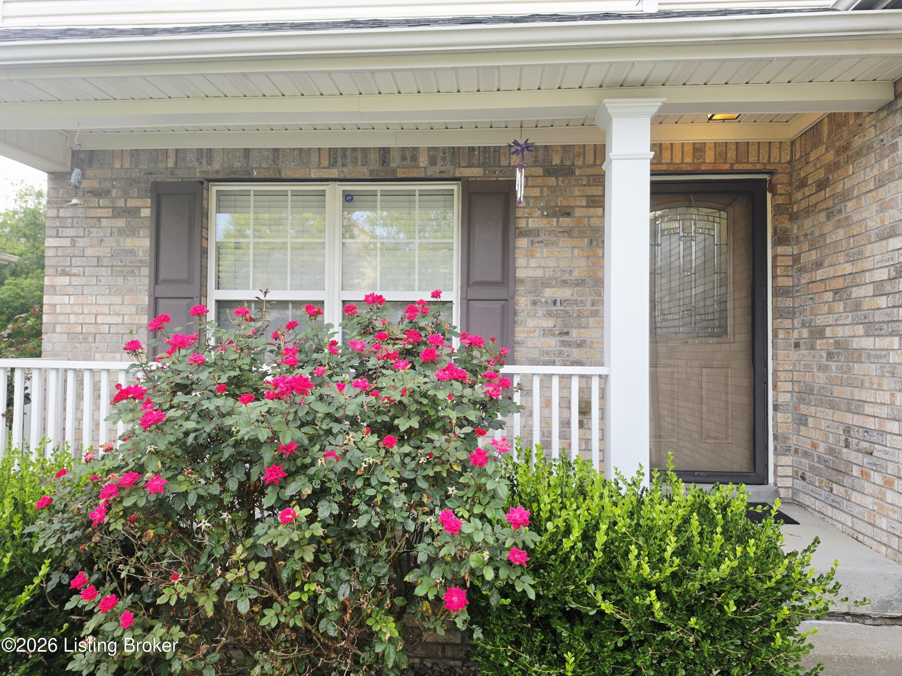 11036 Symington Cir Property Photo 4