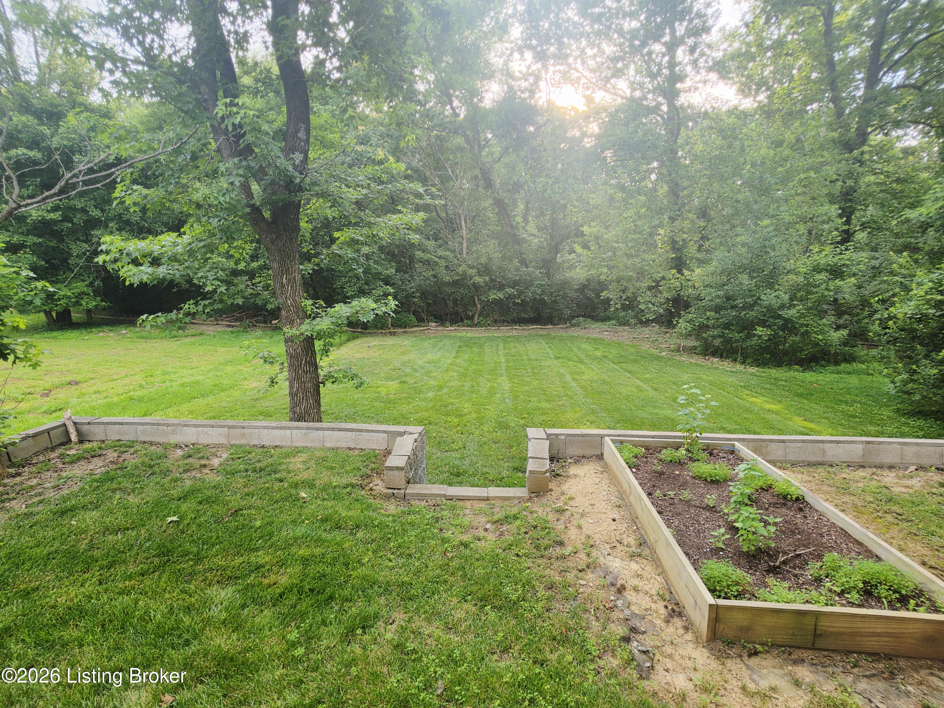 11036 Symington Cir Property Photo 39