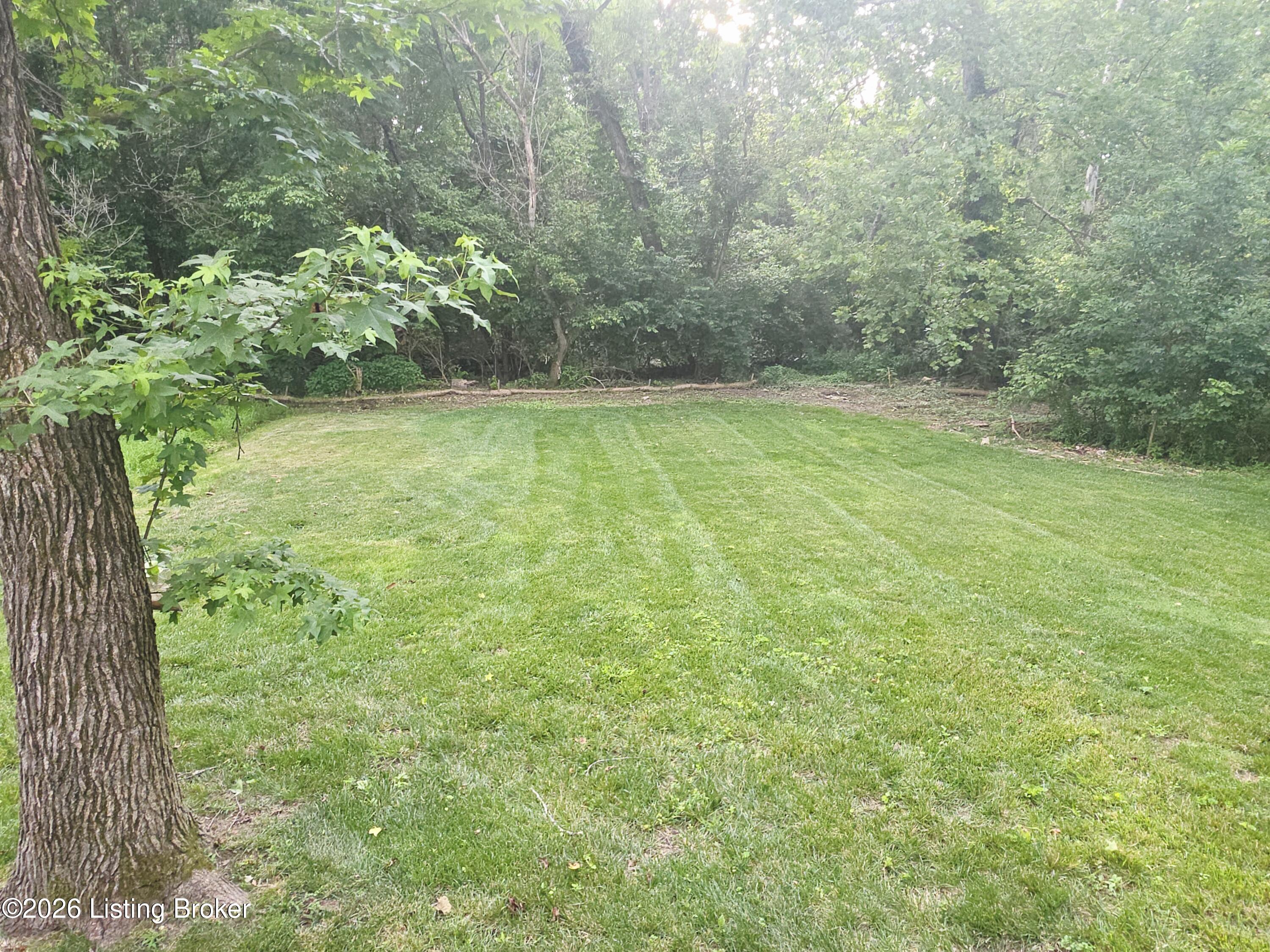 11036 Symington Cir Property Photo 40