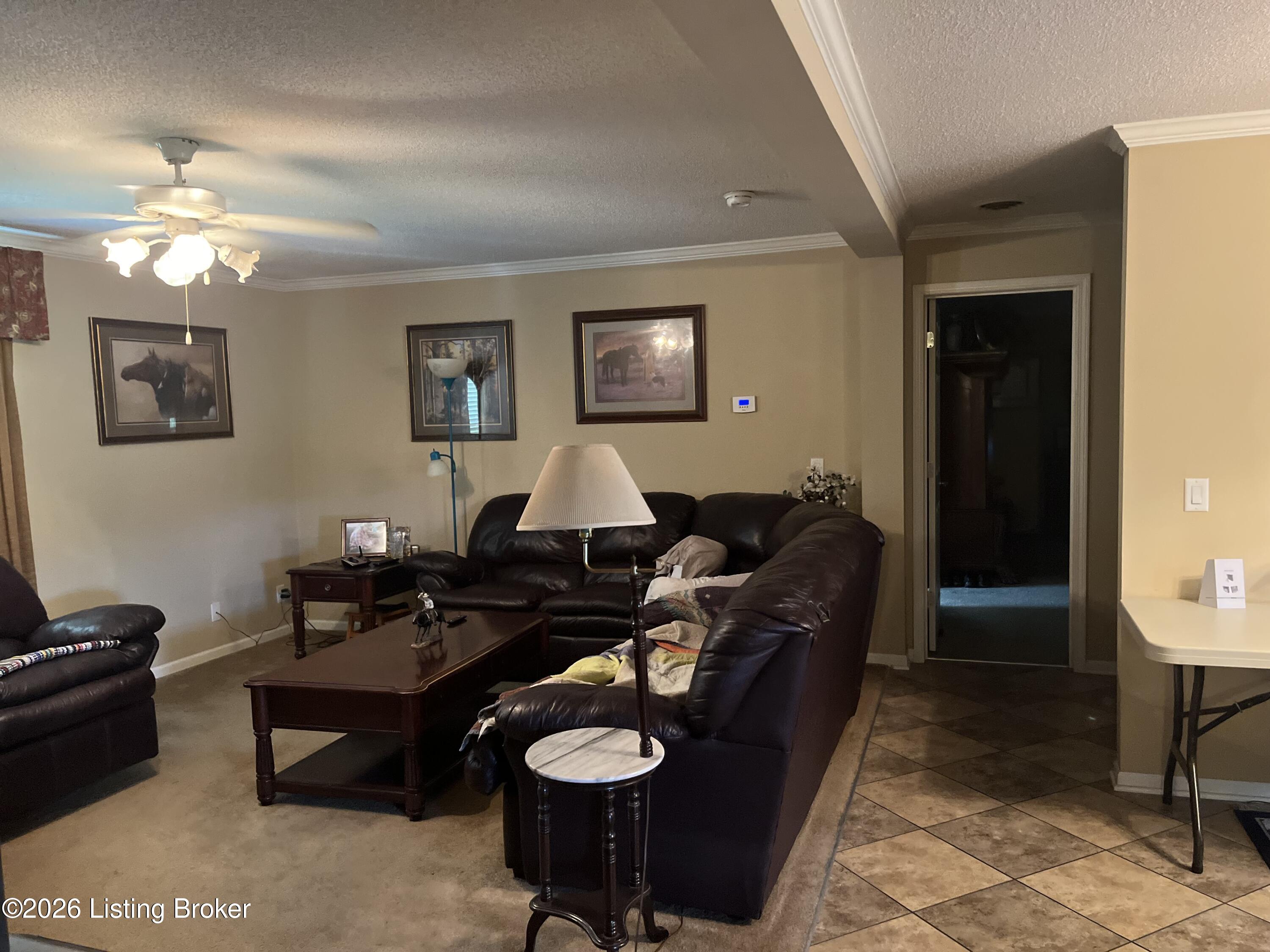 5545 Rabbit Flat Rd Property Photo 8