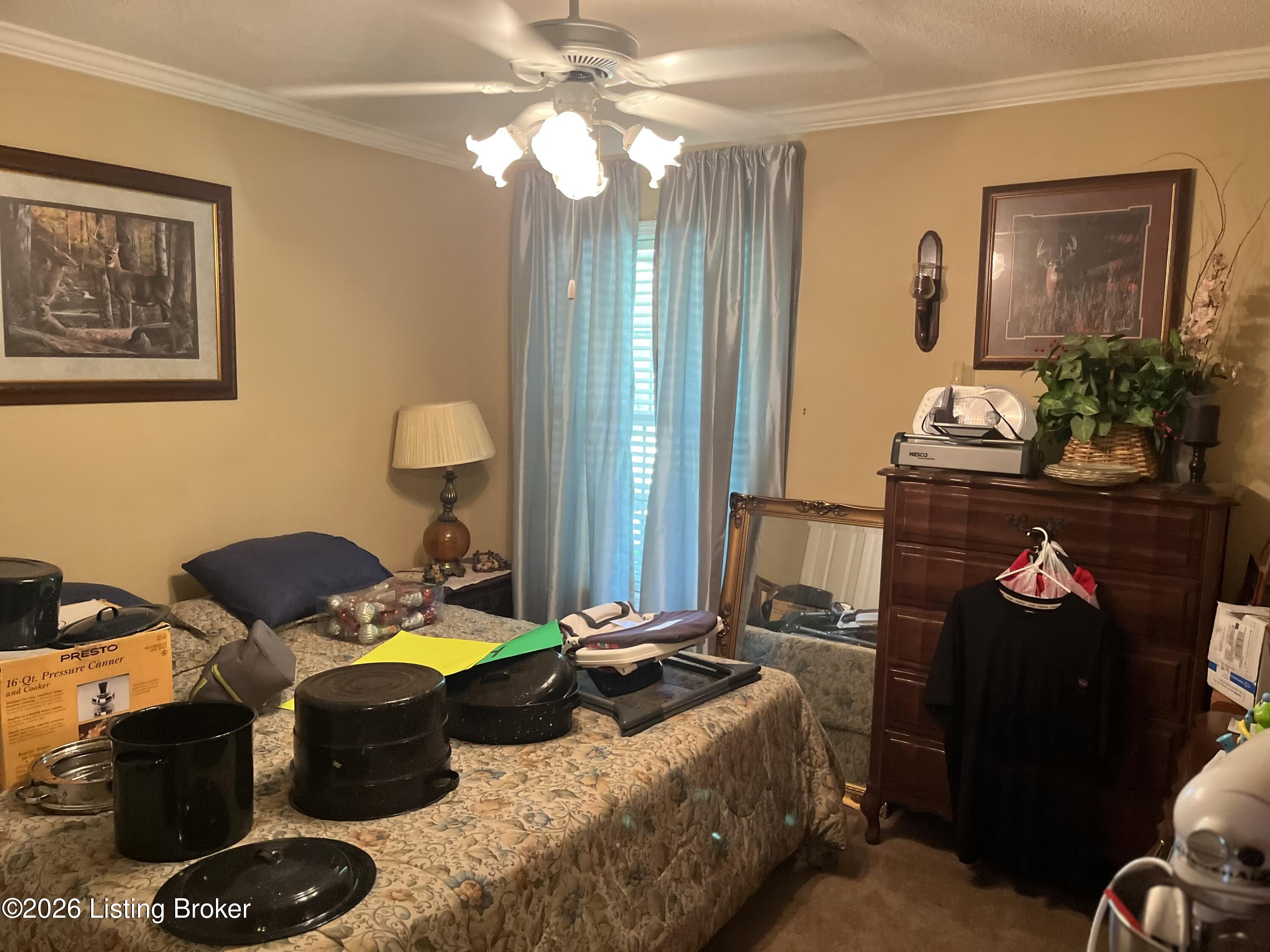 5545 Rabbit Flat Rd Property Photo 24