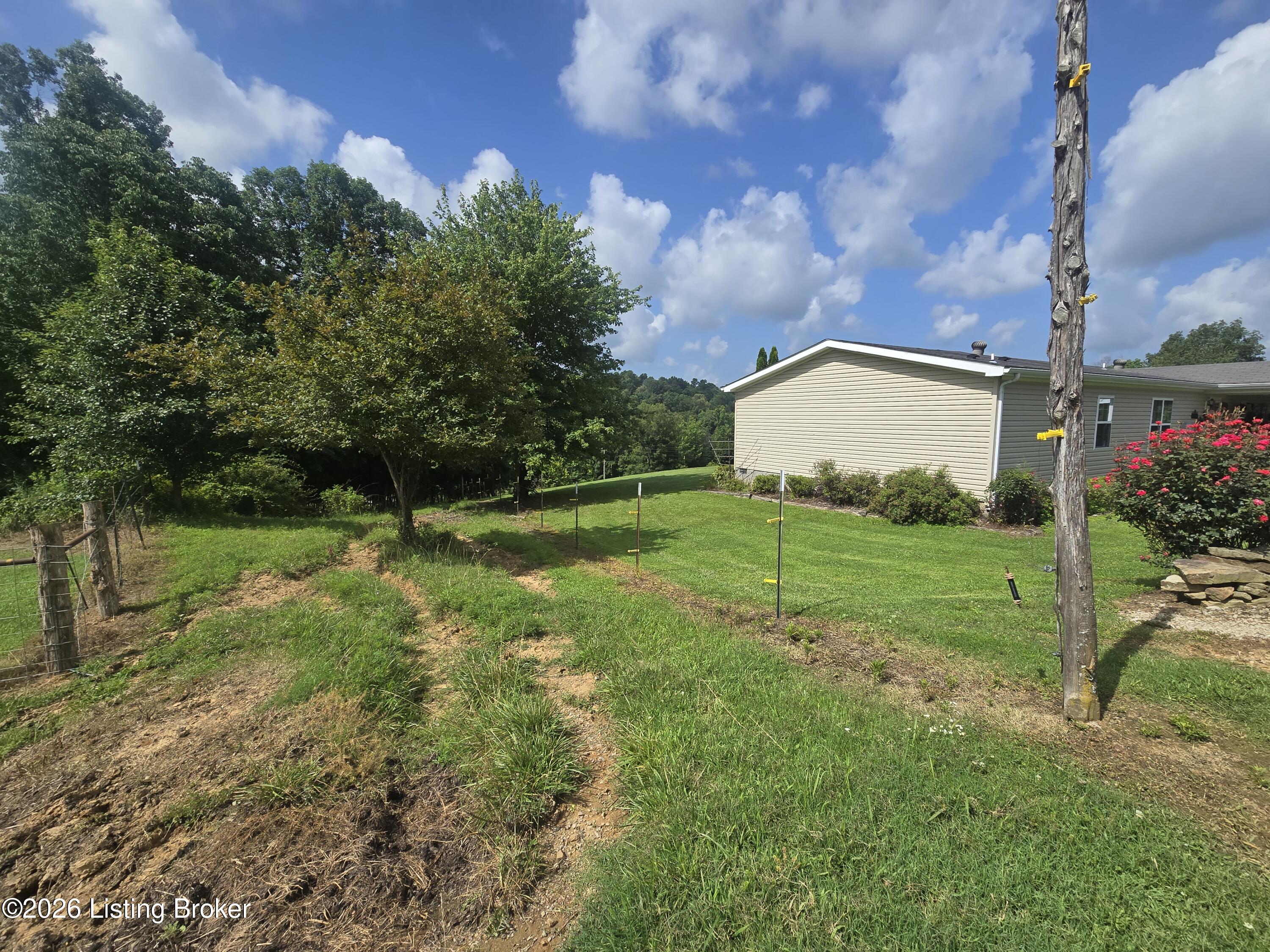 5545 Rabbit Flat Rd Property Photo 32