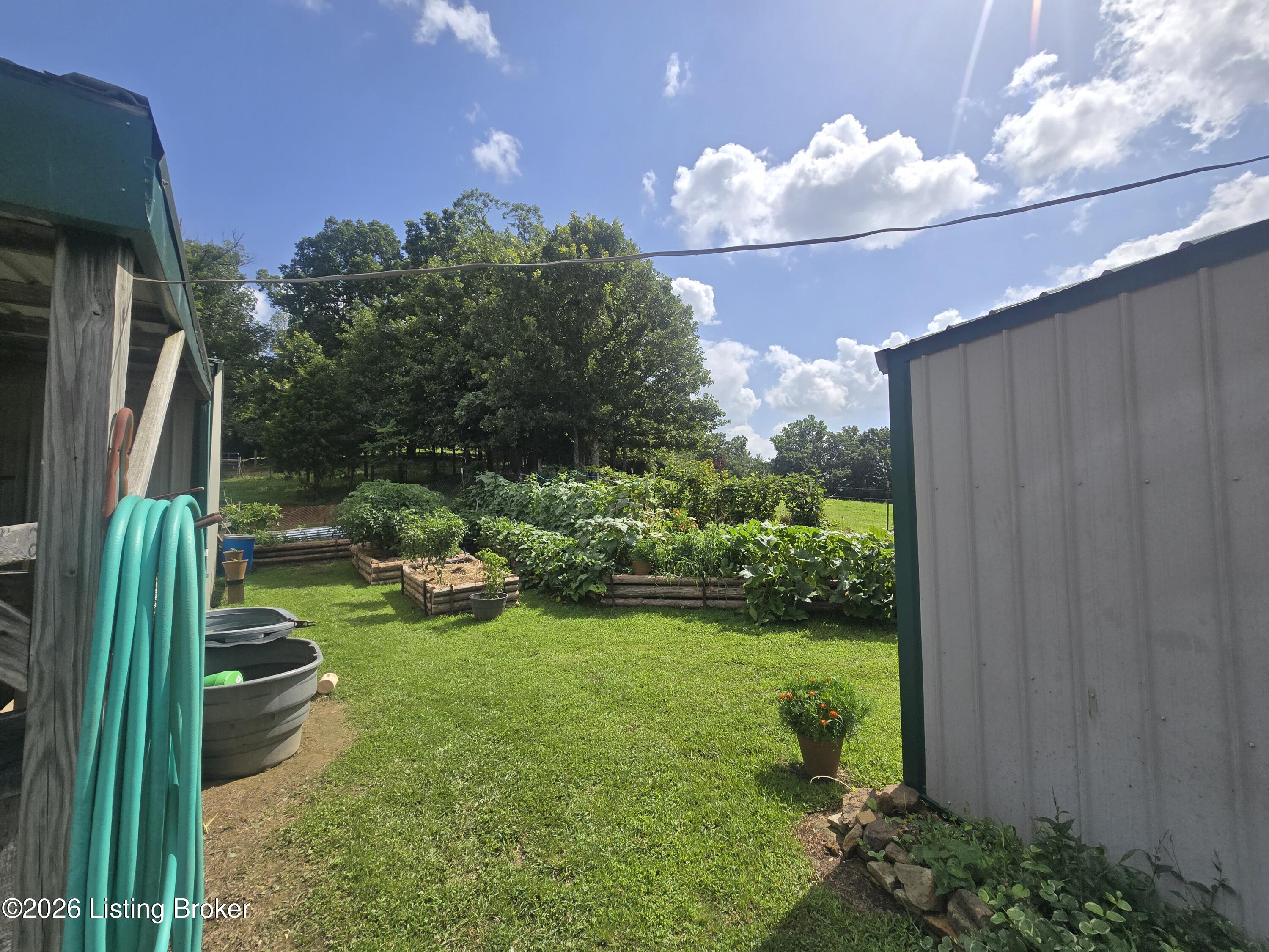 5545 Rabbit Flat Rd Property Photo 34