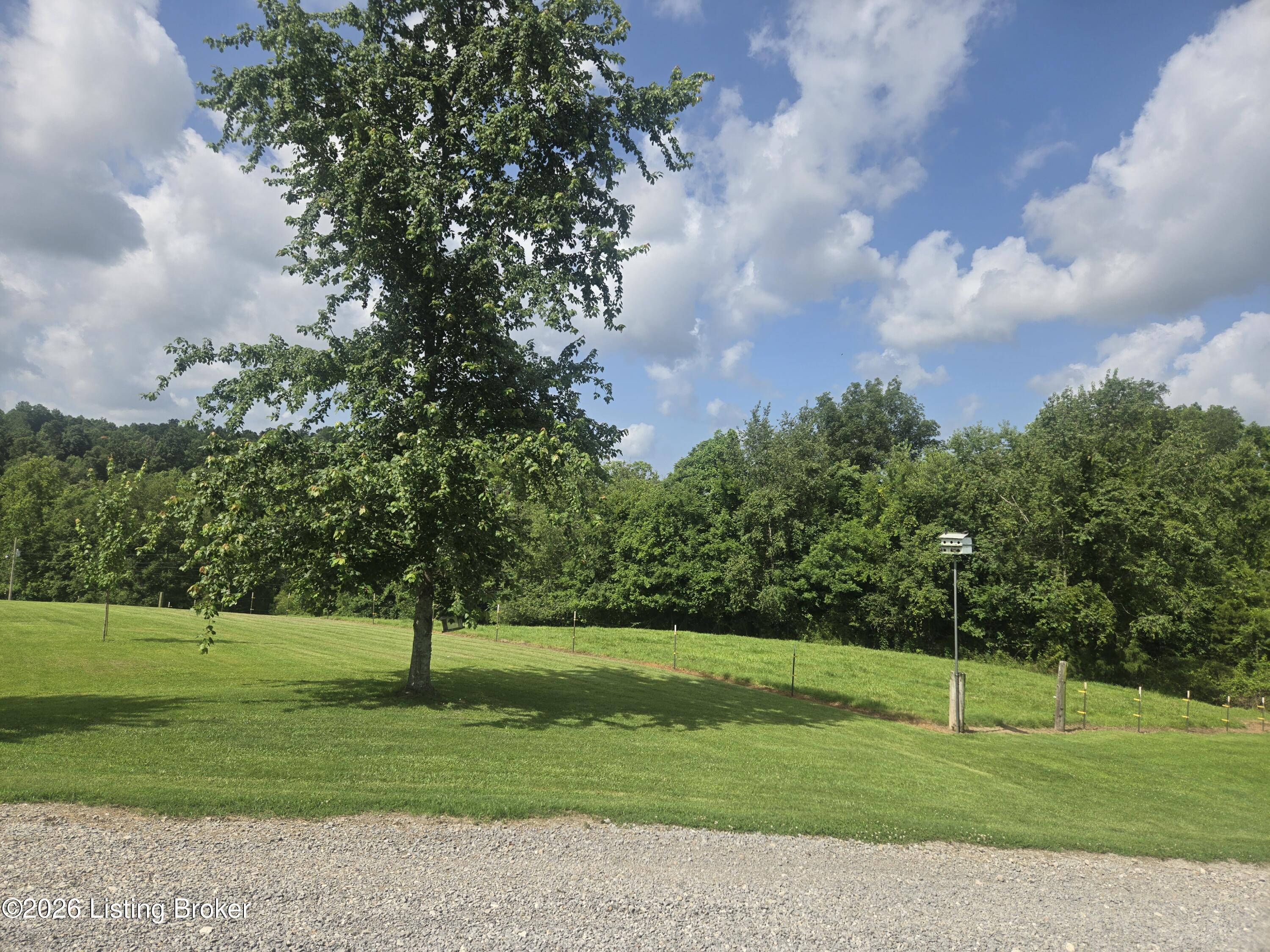 5545 Rabbit Flat Rd Property Photo 41