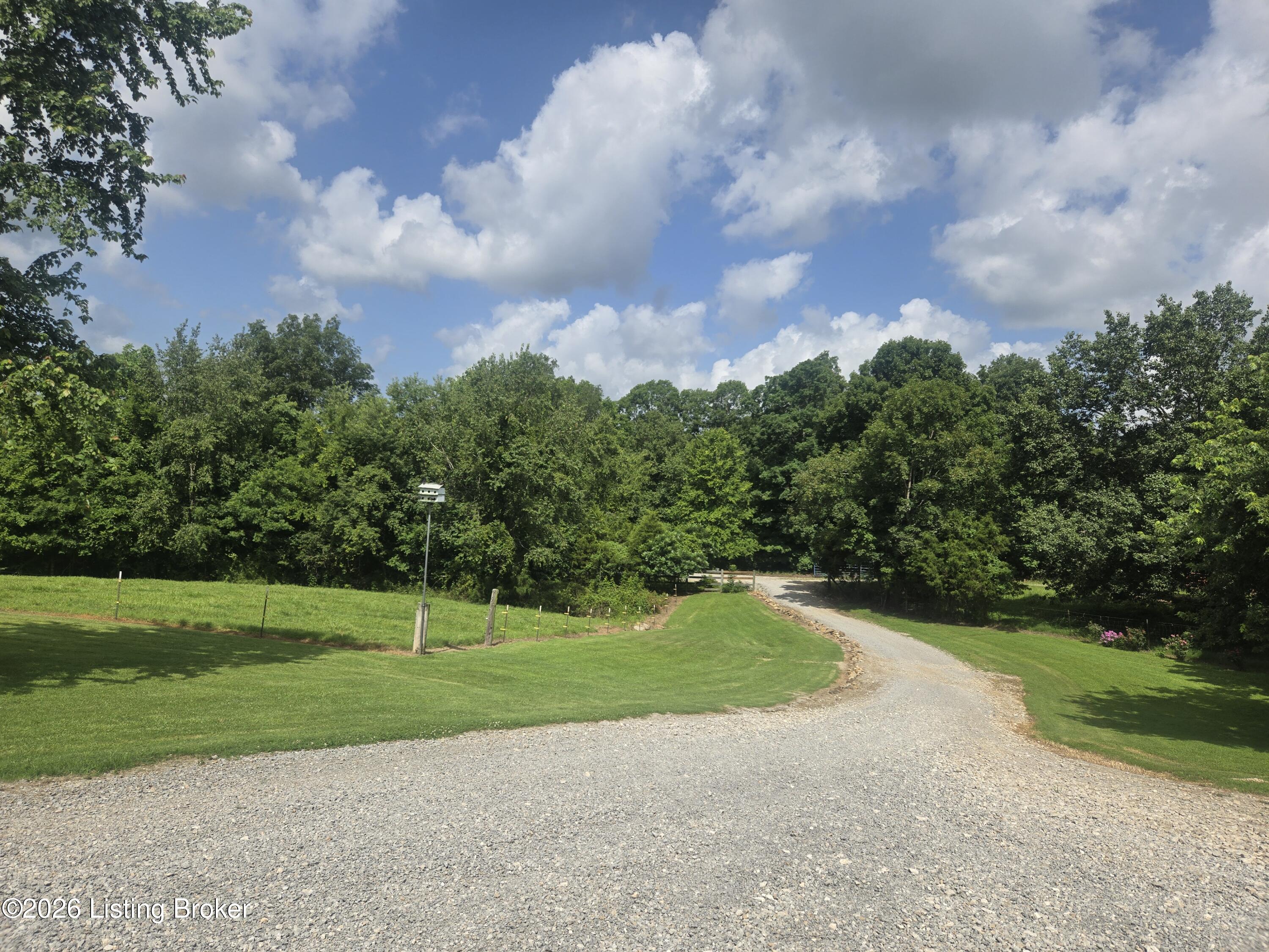 5545 Rabbit Flat Rd Property Photo 42