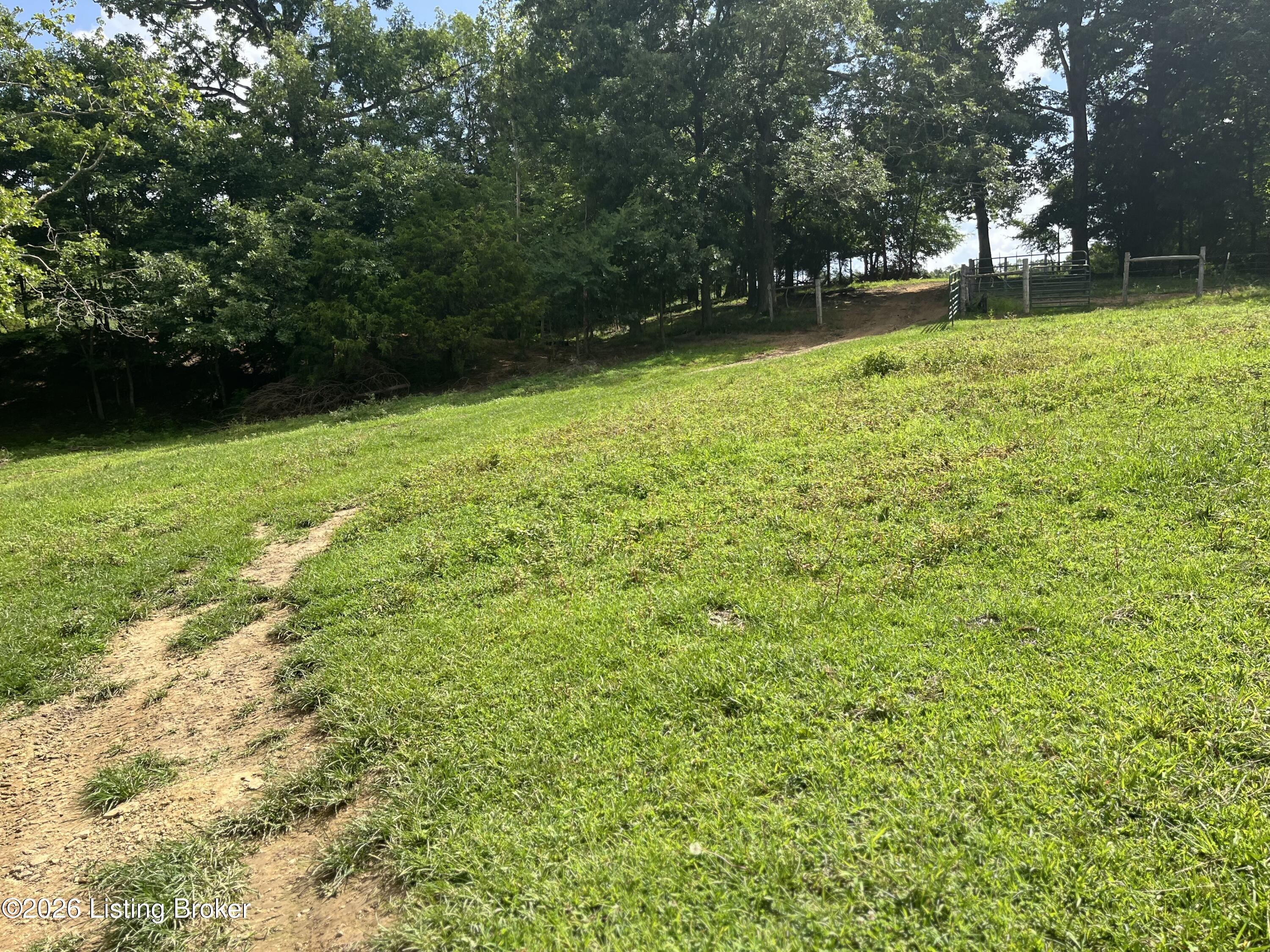 5545 Rabbit Flat Rd Property Photo 48