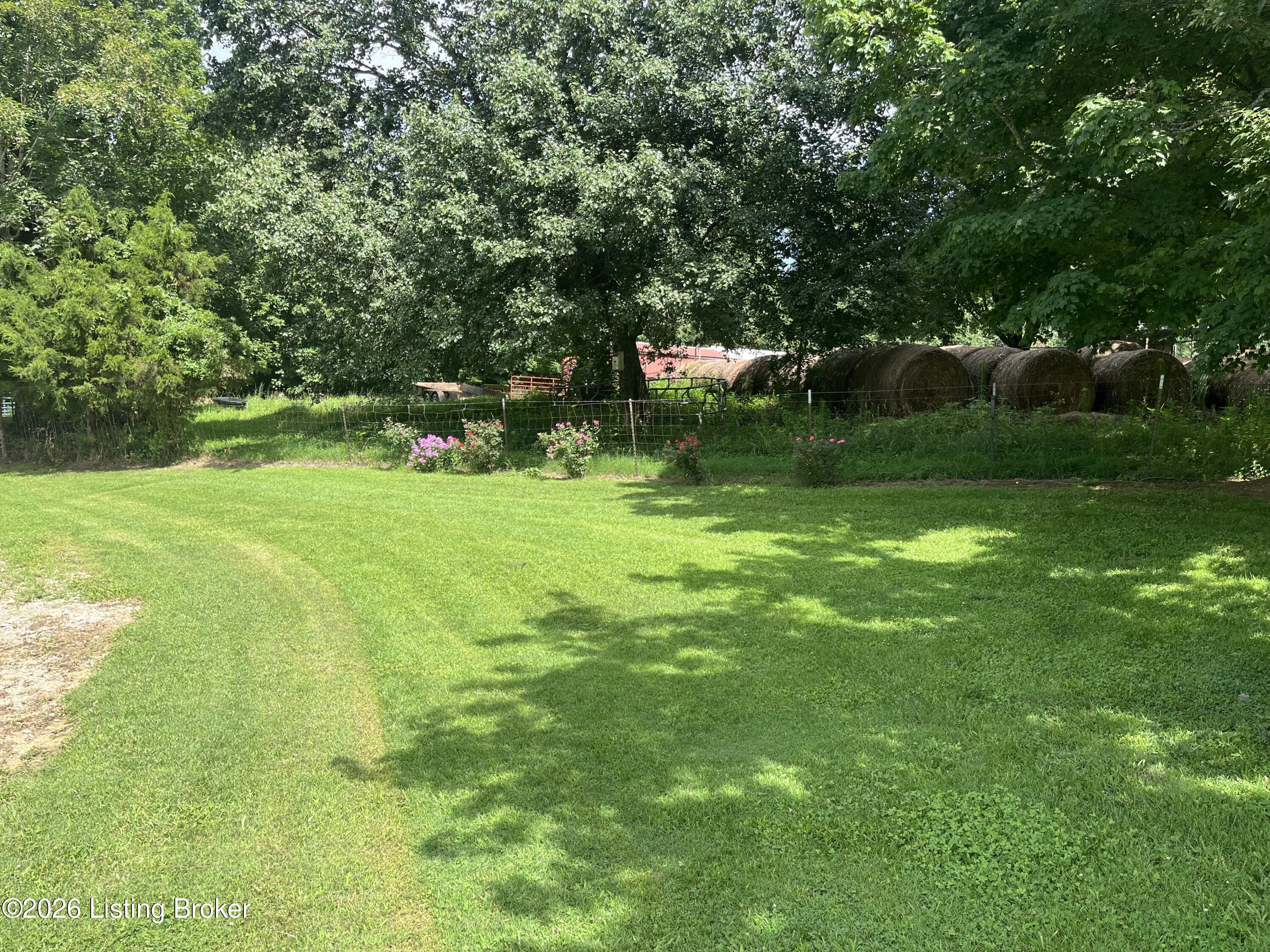 5545 Rabbit Flat Rd Property Photo 49