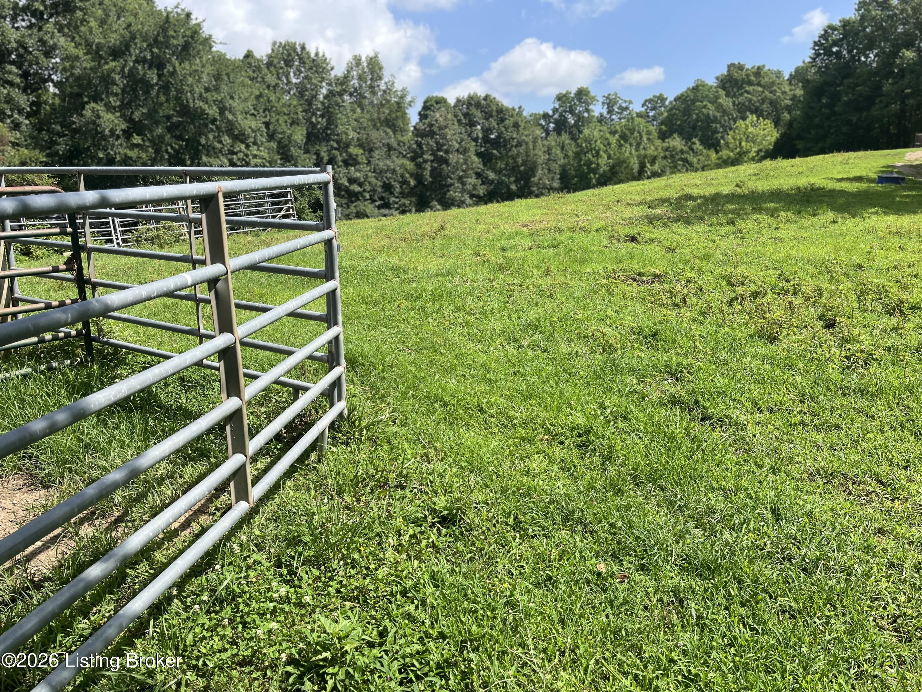 5545 Rabbit Flat Rd Property Photo 53