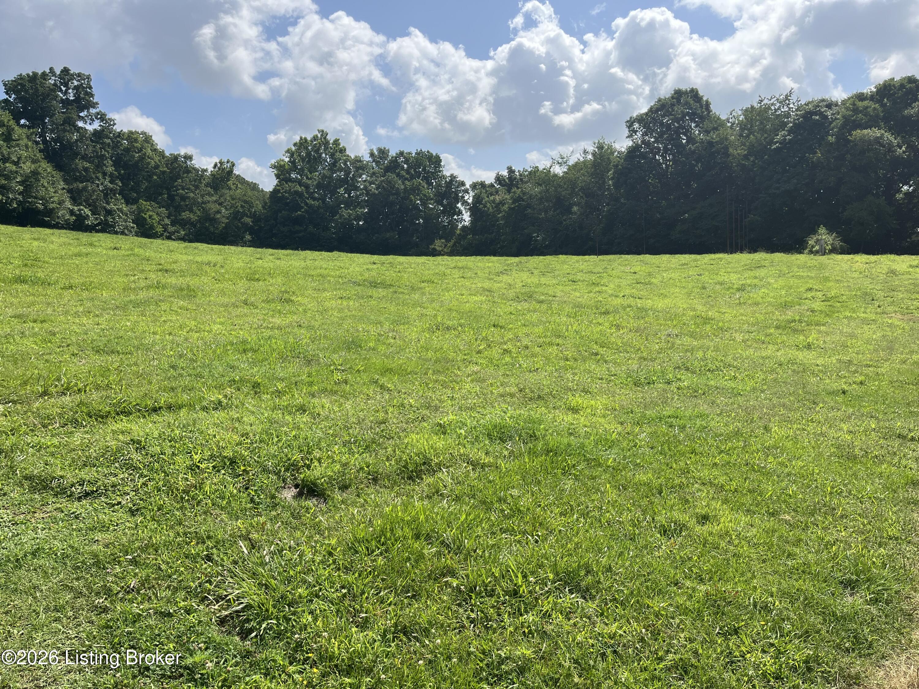 5545 Rabbit Flat Rd Property Photo 54
