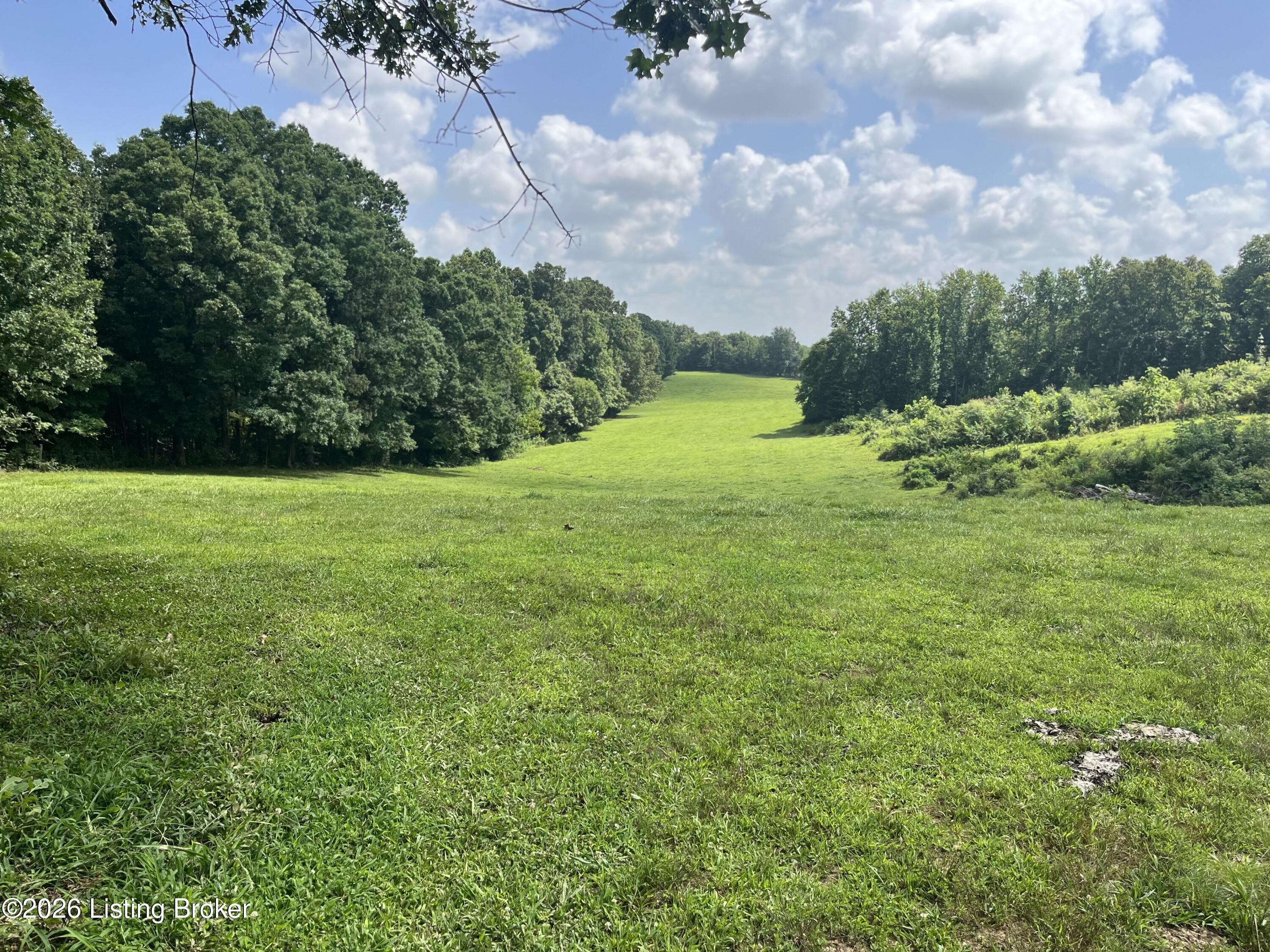 5545 Rabbit Flat Rd Property Photo 55