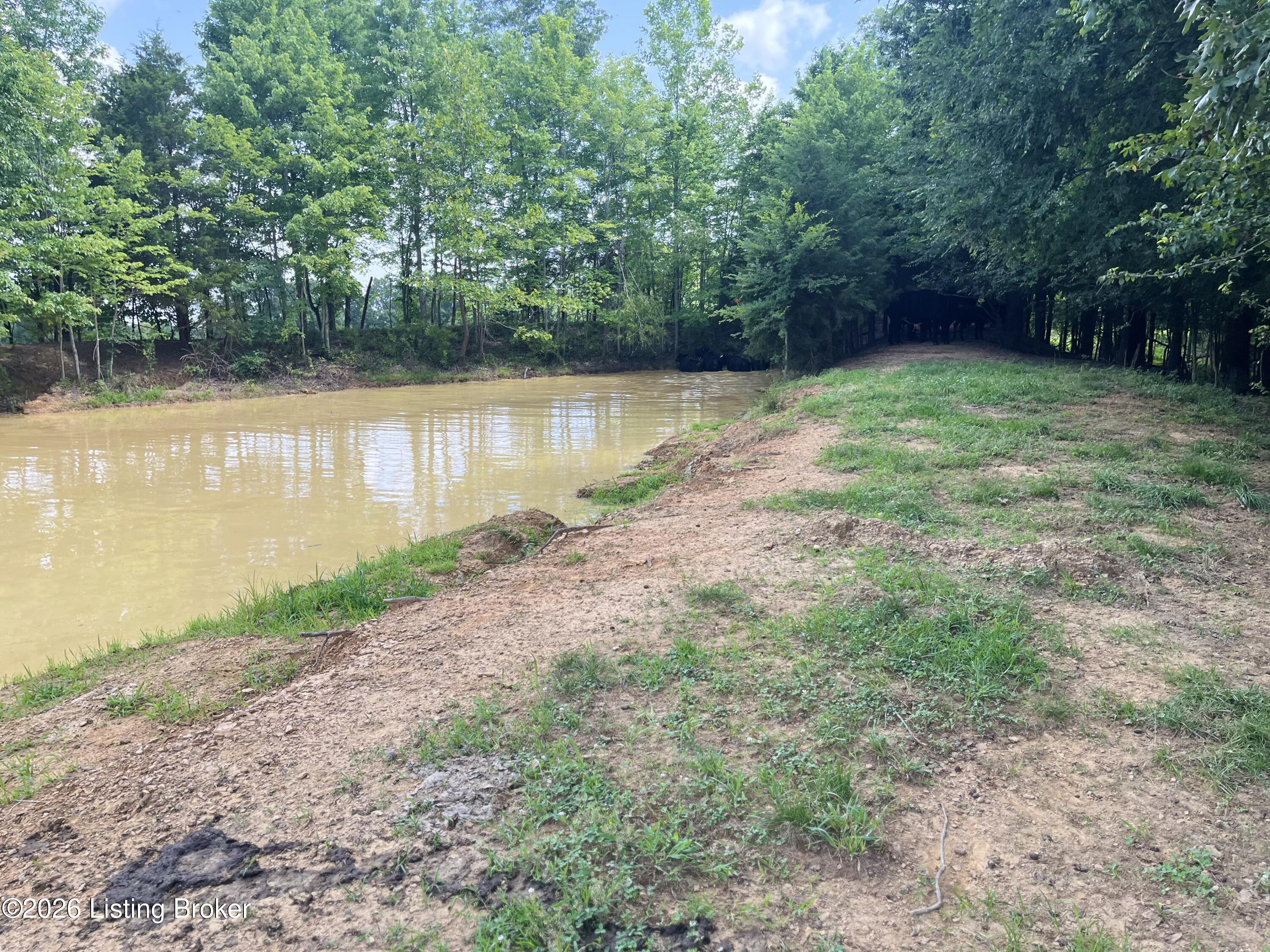 5545 Rabbit Flat Rd Property Photo 58