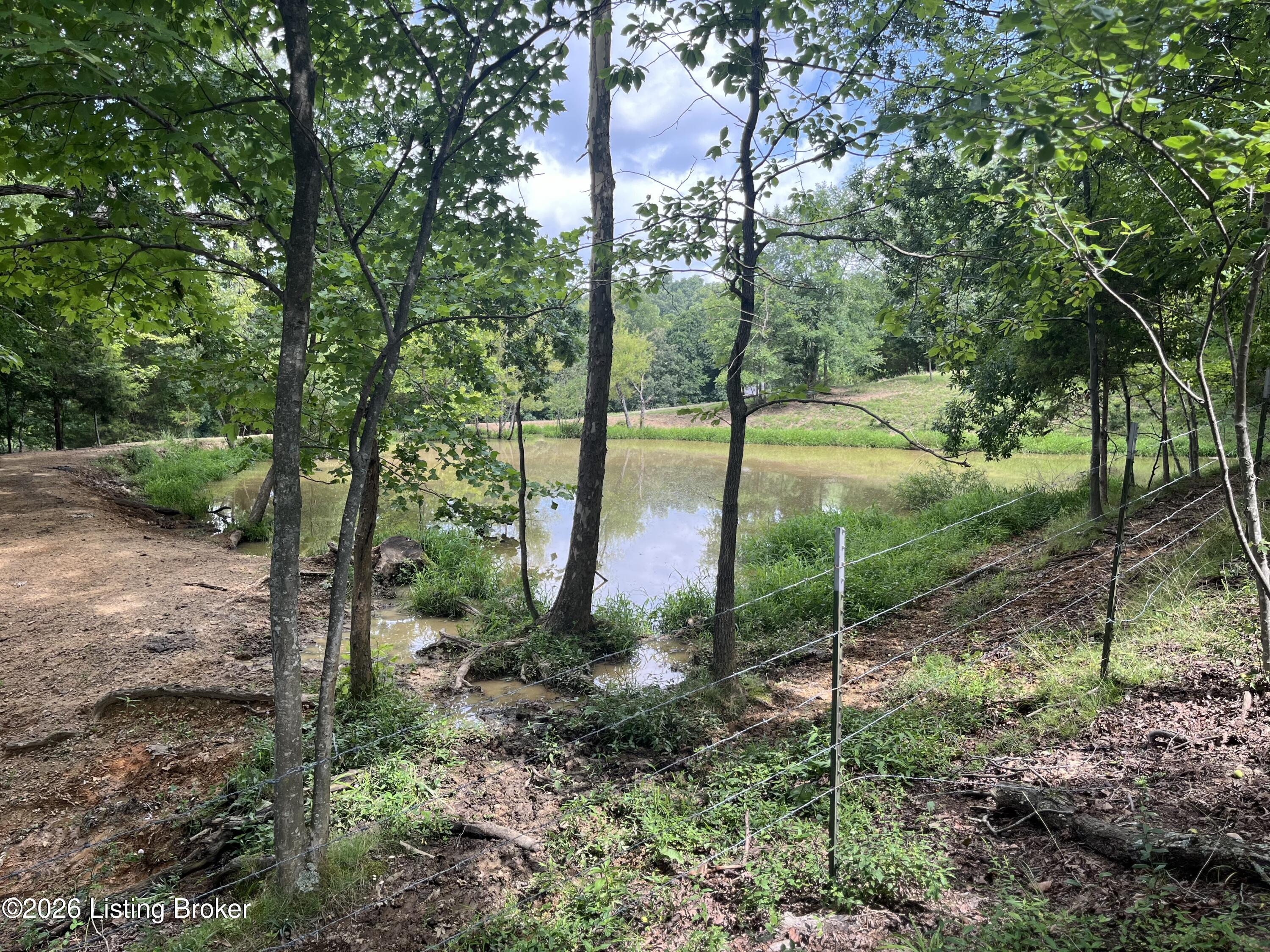 5545 Rabbit Flat Rd Property Photo 59