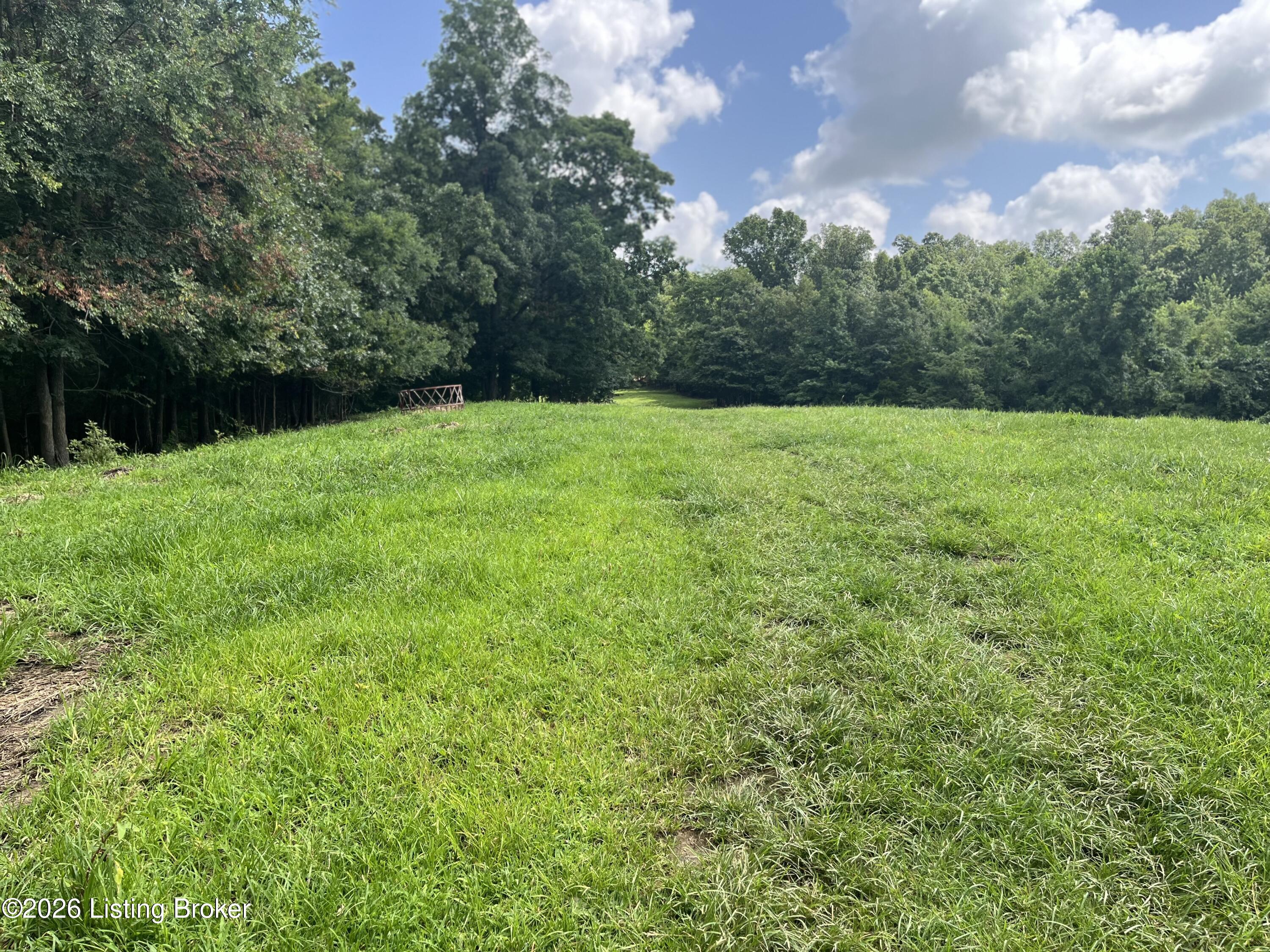 5545 Rabbit Flat Rd Property Photo 61