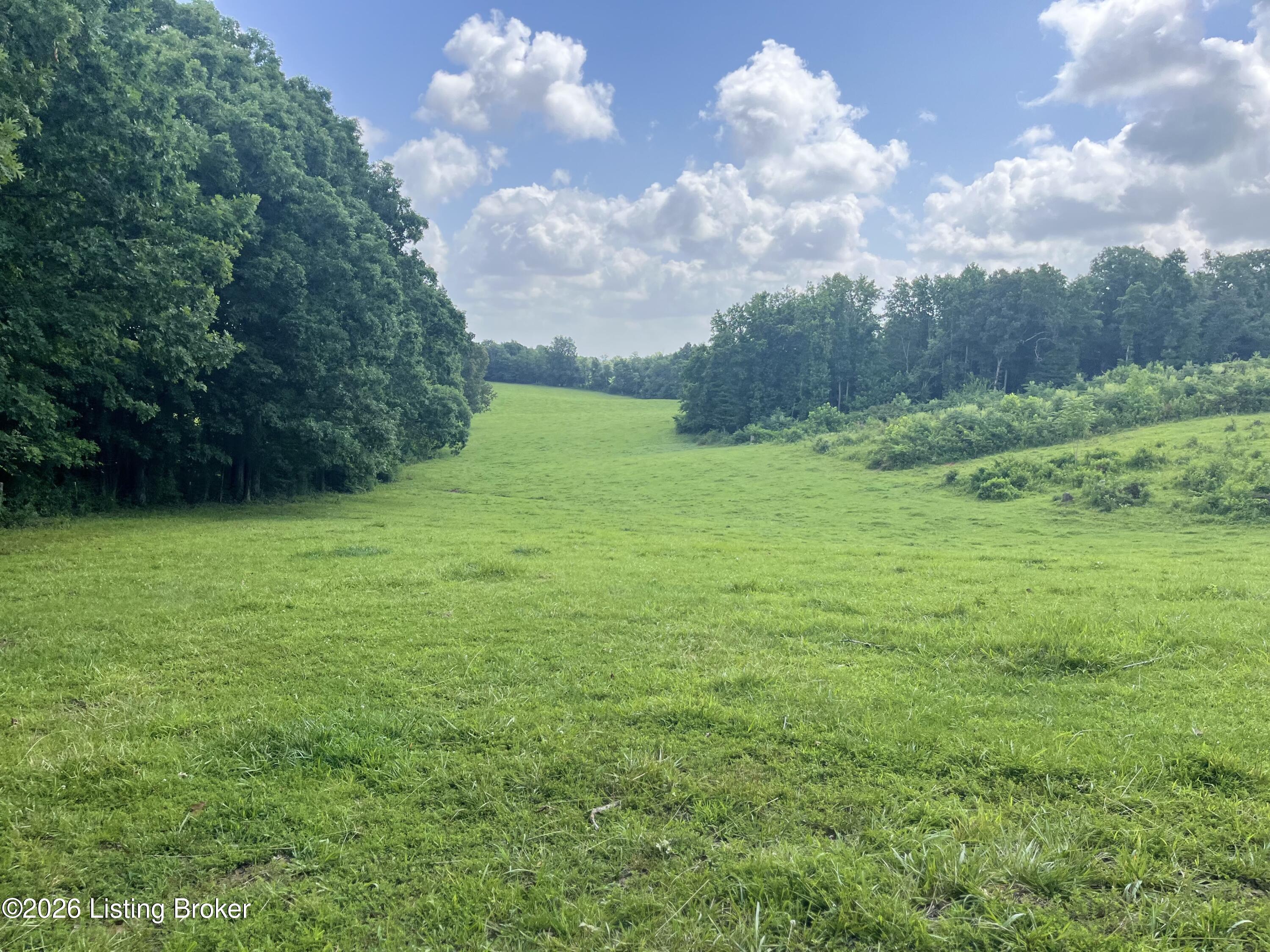 5545 Rabbit Flat Rd Property Photo 63