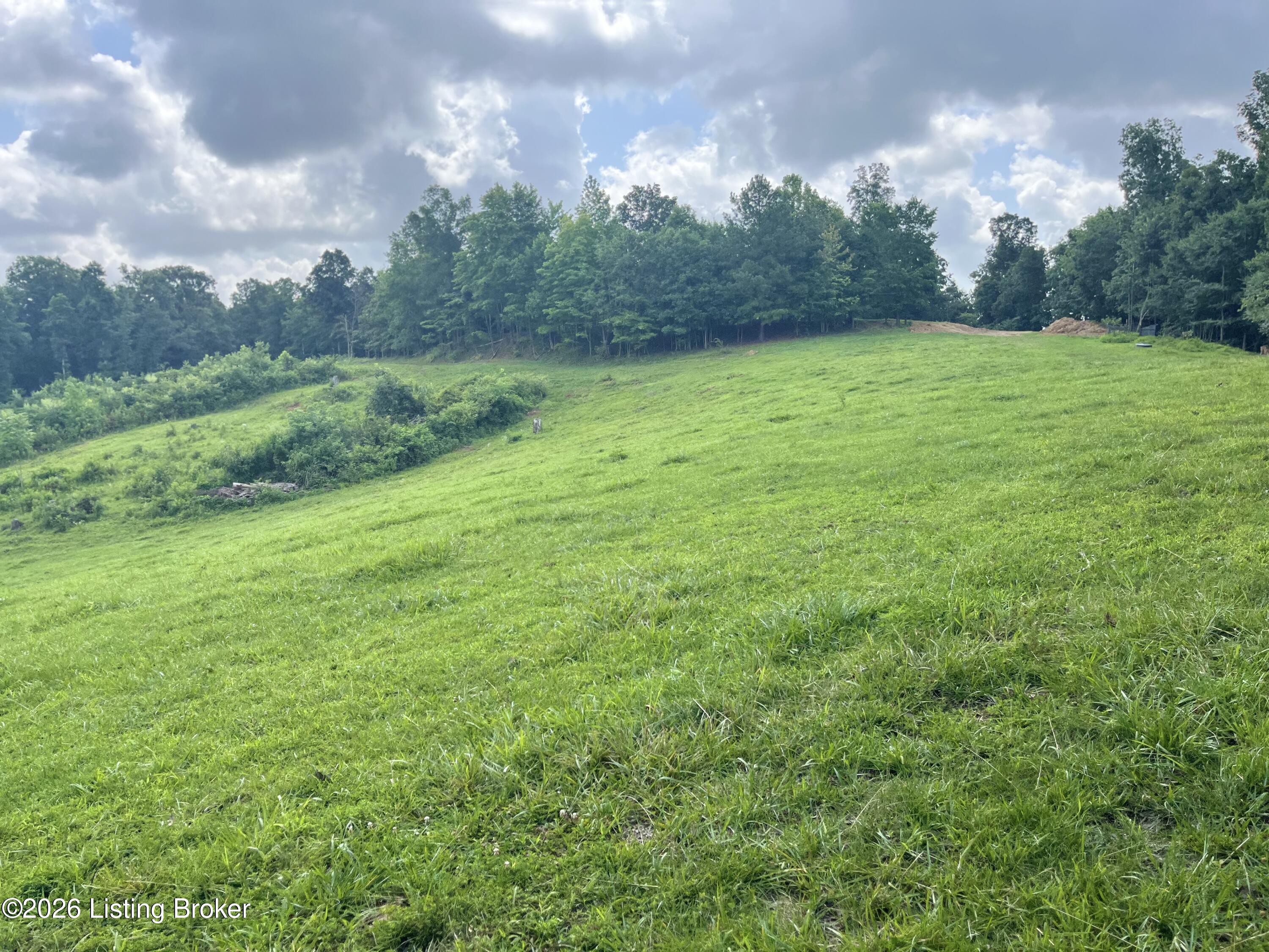 5545 Rabbit Flat Rd Property Photo 64