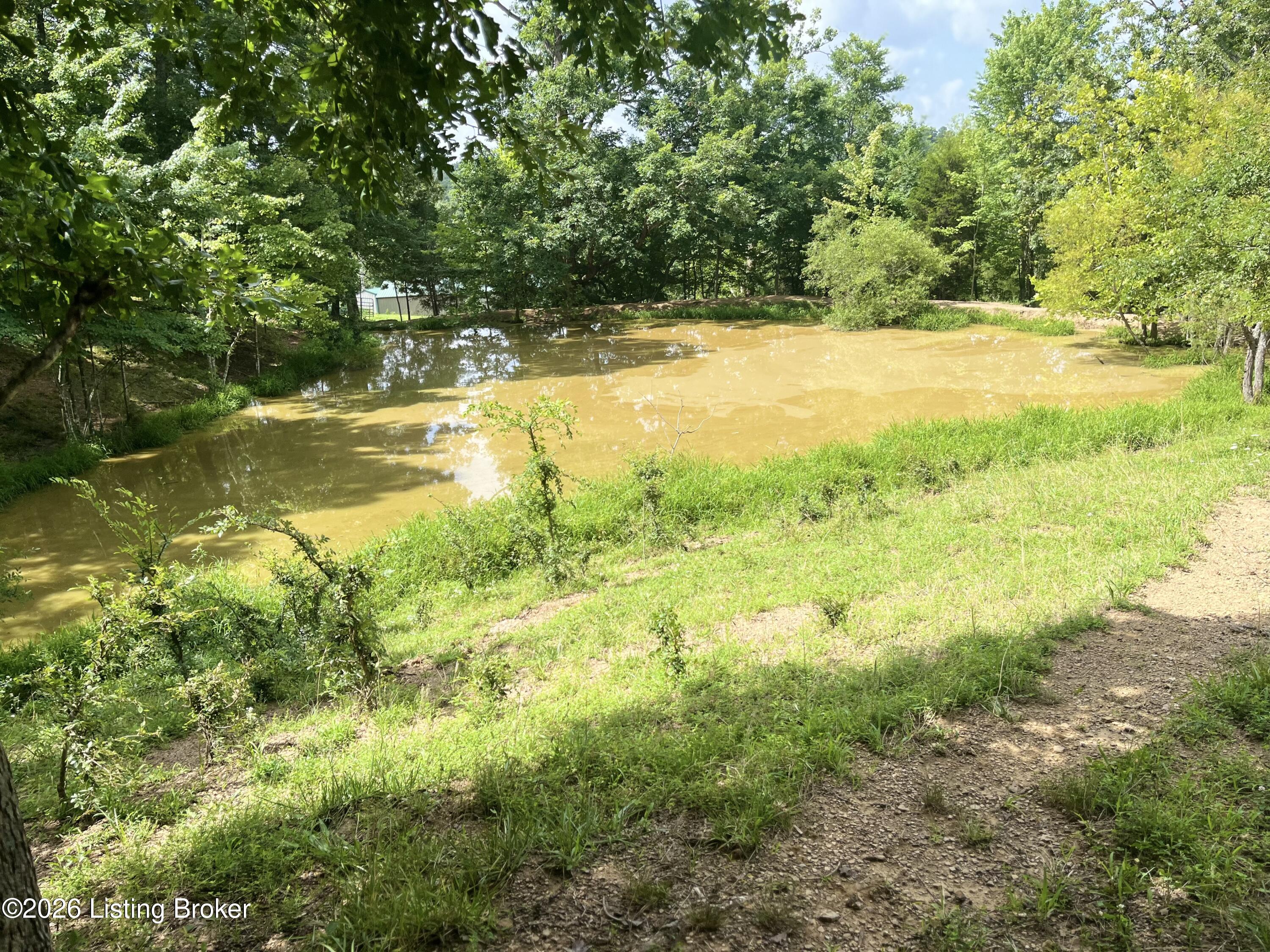 5545 Rabbit Flat Rd Property Photo 65