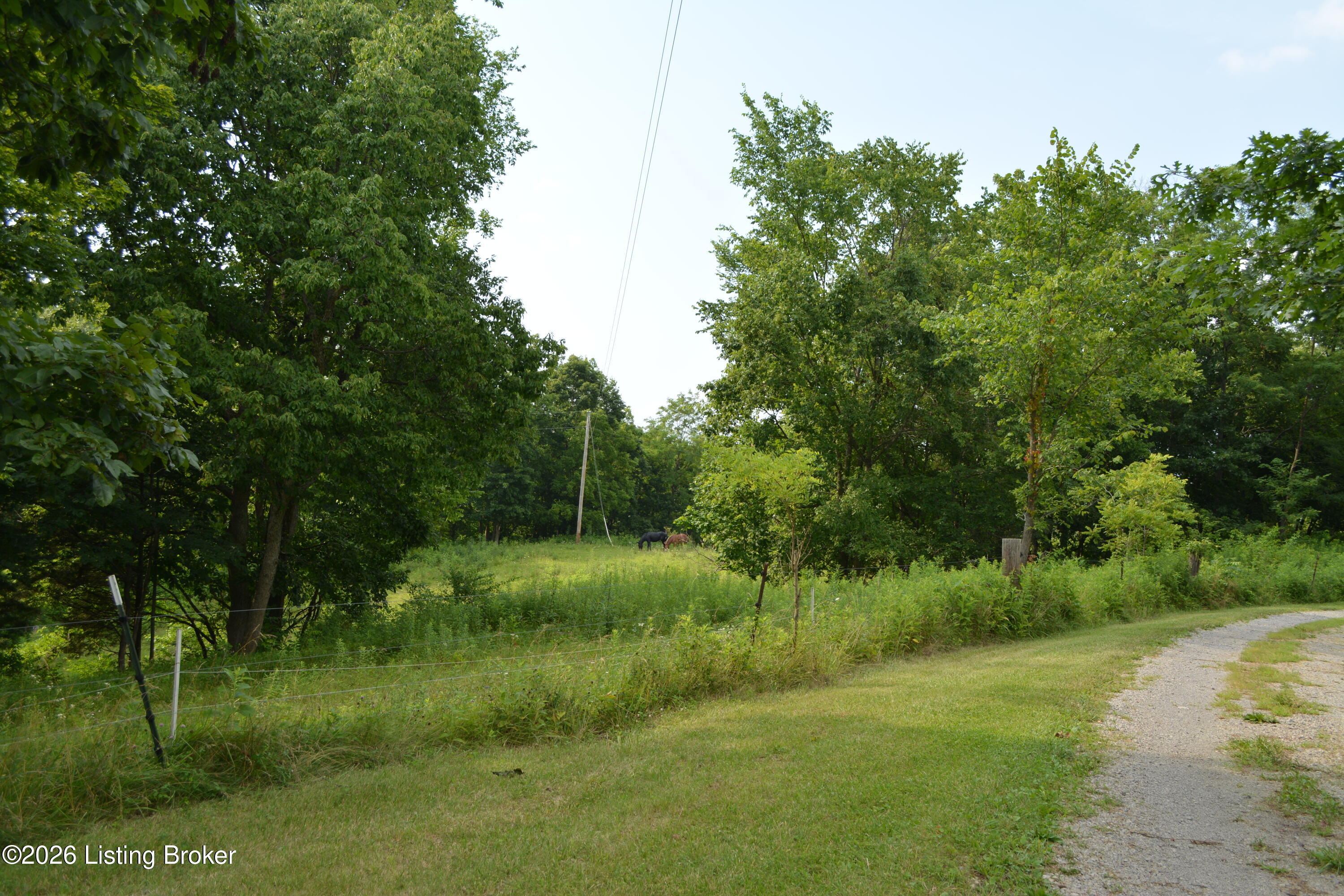 581 Noah's Ln Property Photo 3