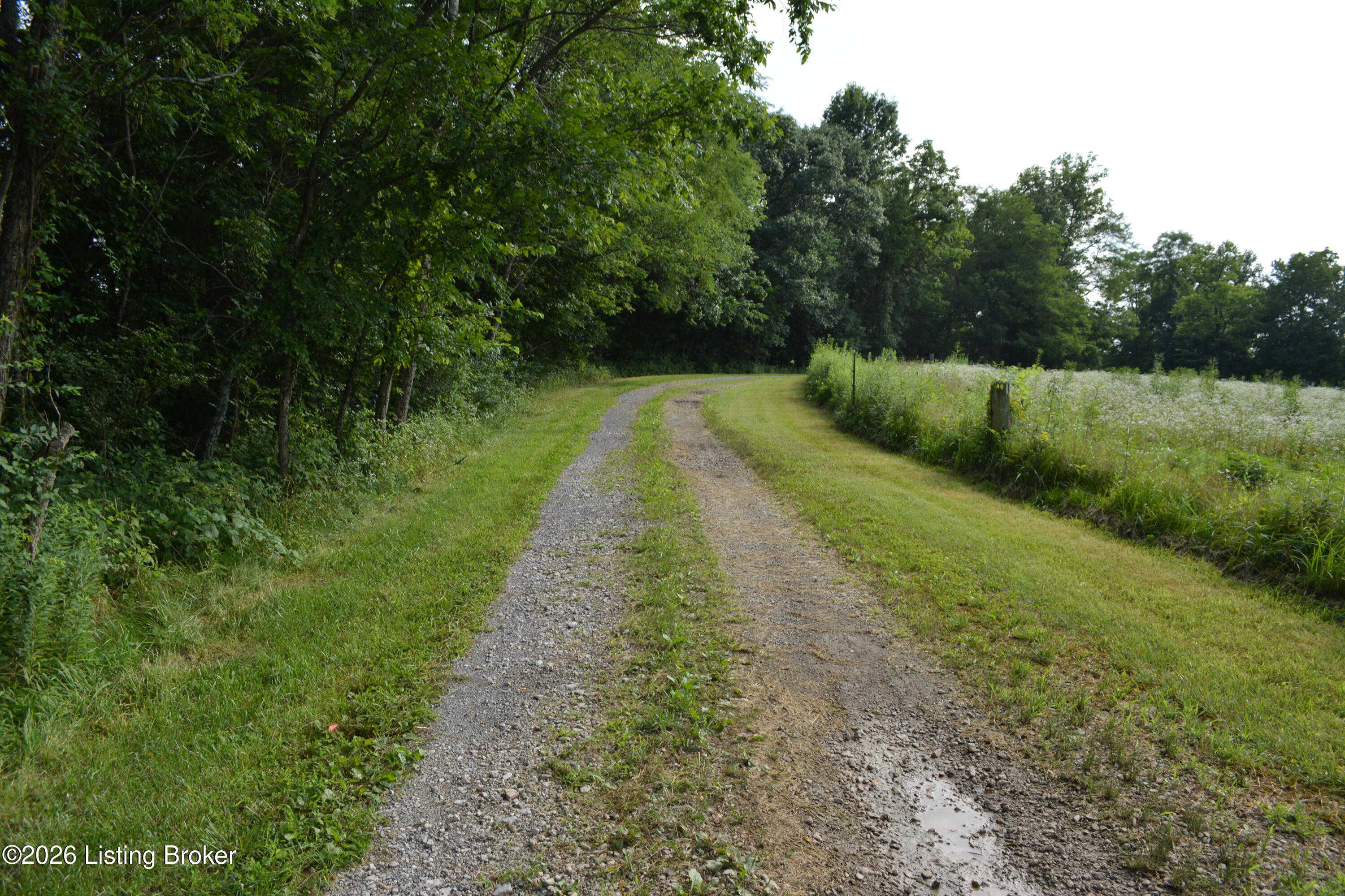 581 Noah's Ln Property Photo 4