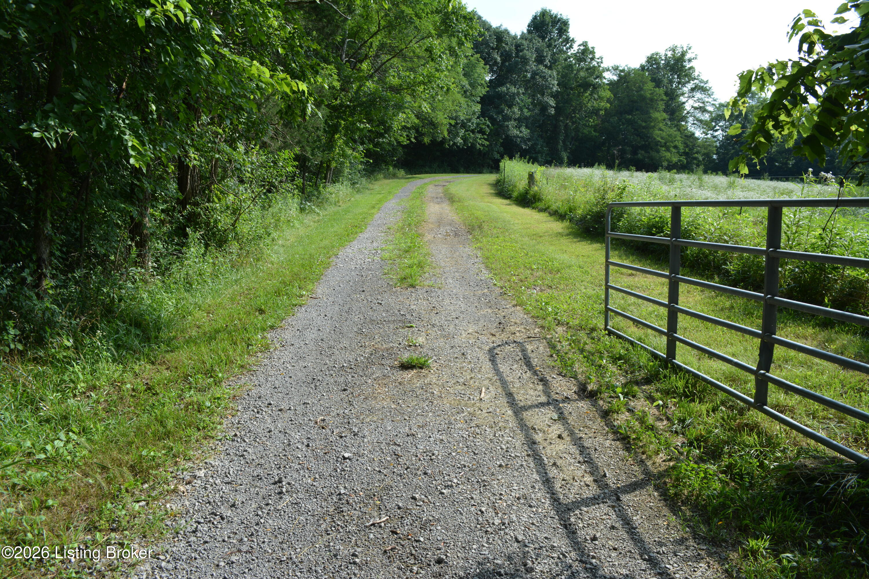 581 Noah's Ln Property Photo 5