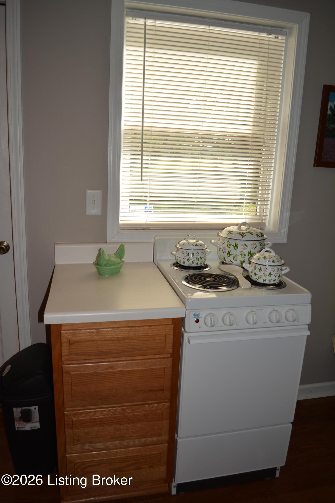 581 Noah's Ln Property Photo 11