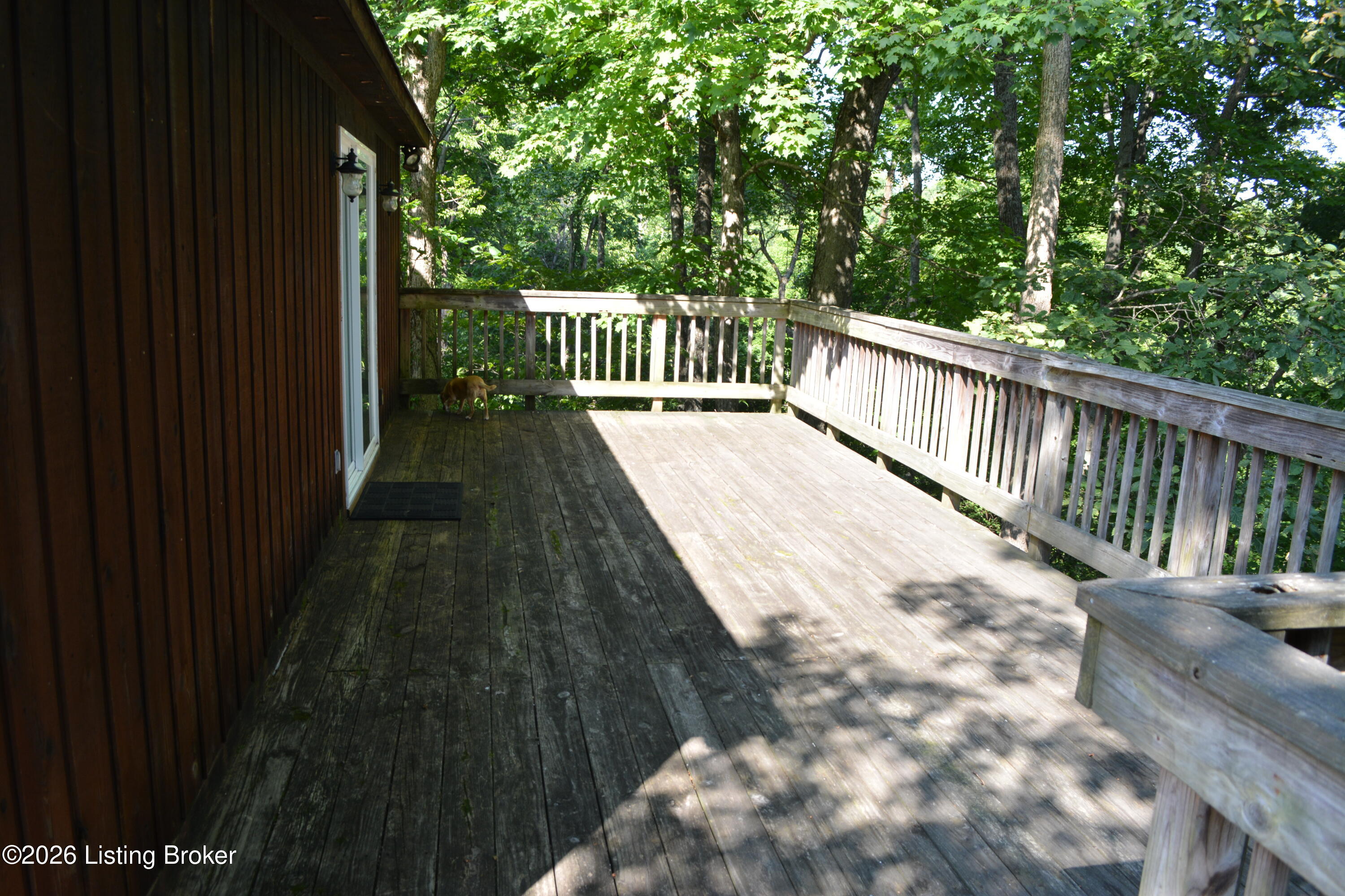 581 Noah's Ln Property Photo 18