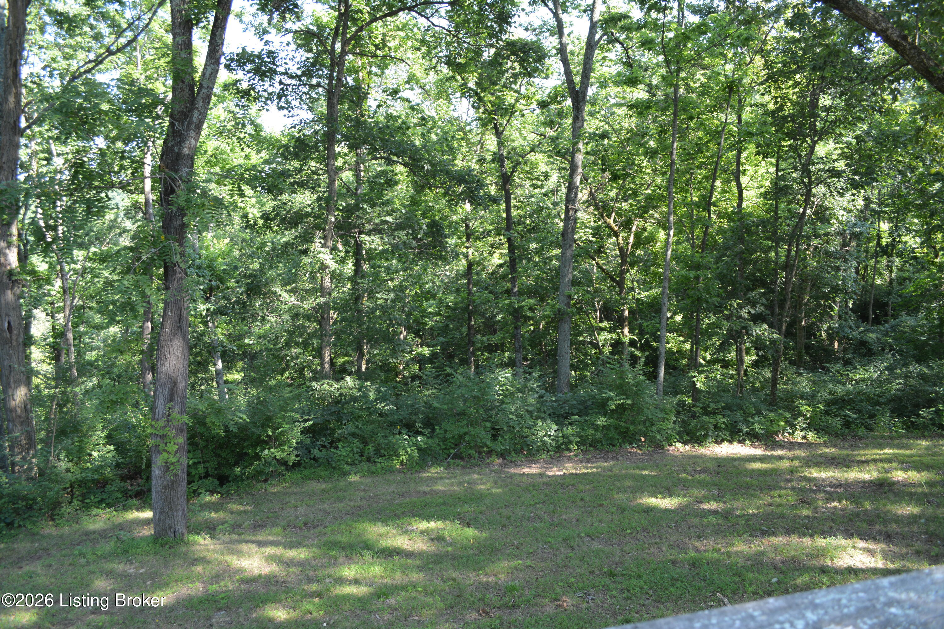 581 Noah's Ln Property Photo 20