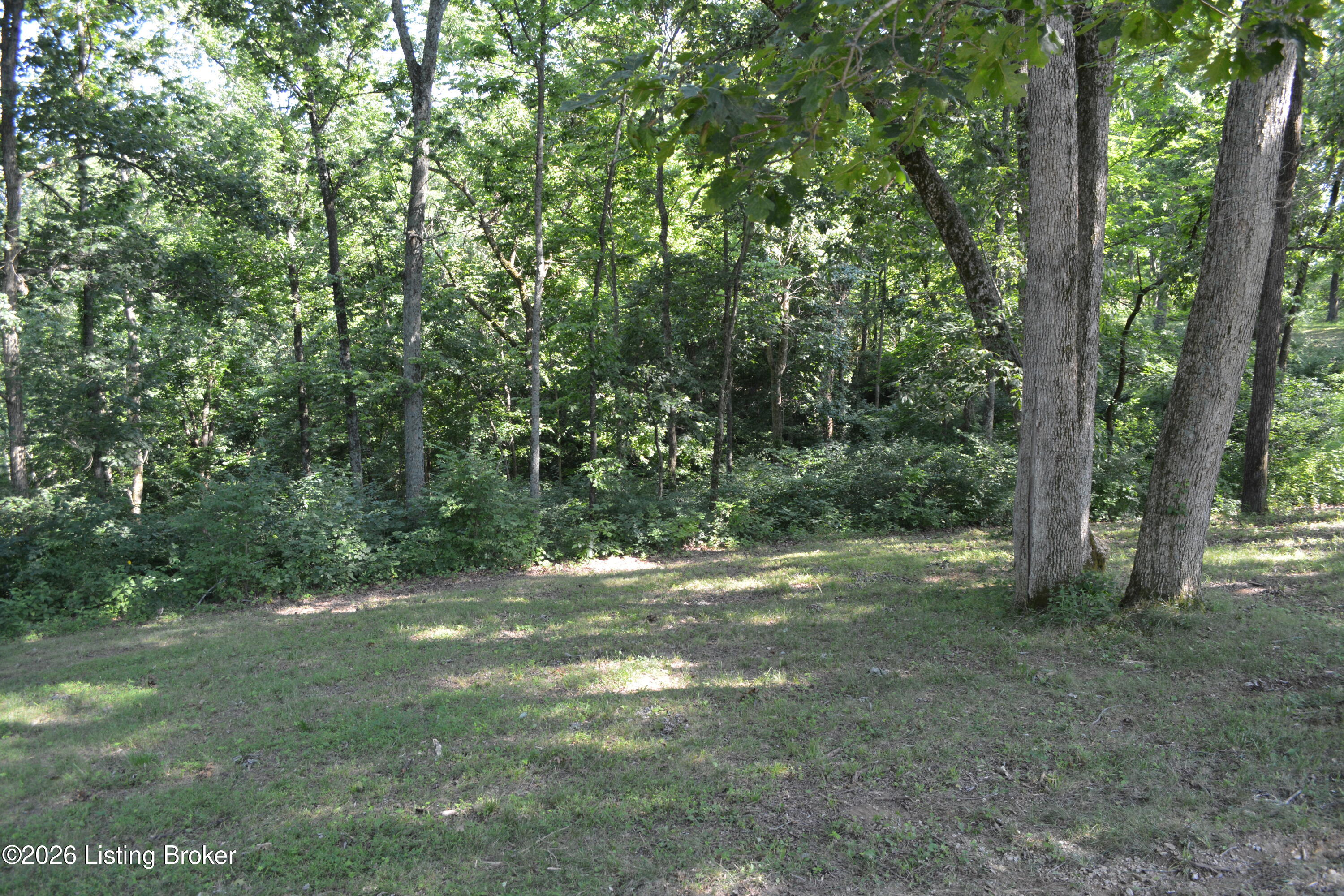 581 Noah's Ln Property Photo 24