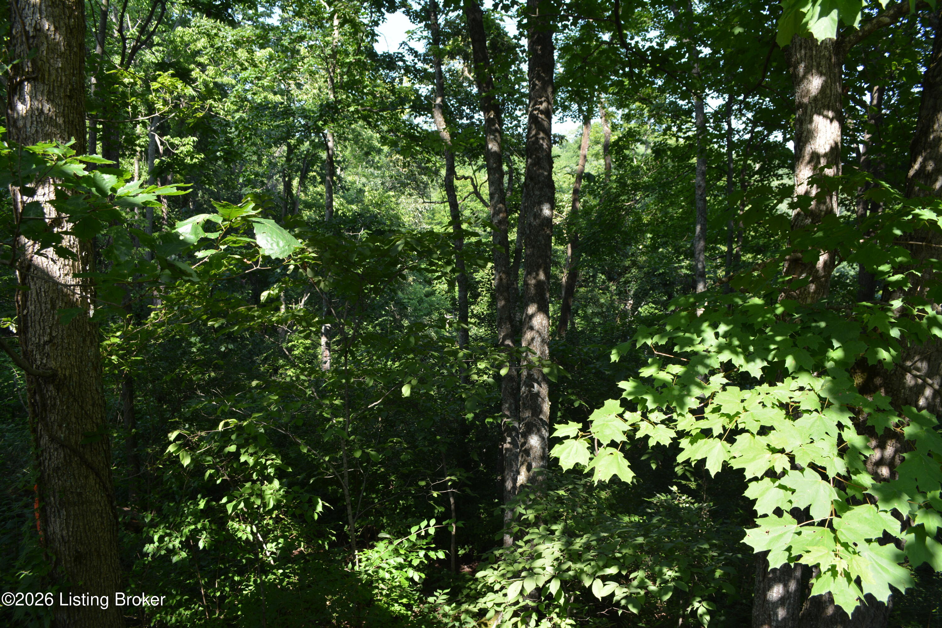 581 Noah's Ln Property Photo 25