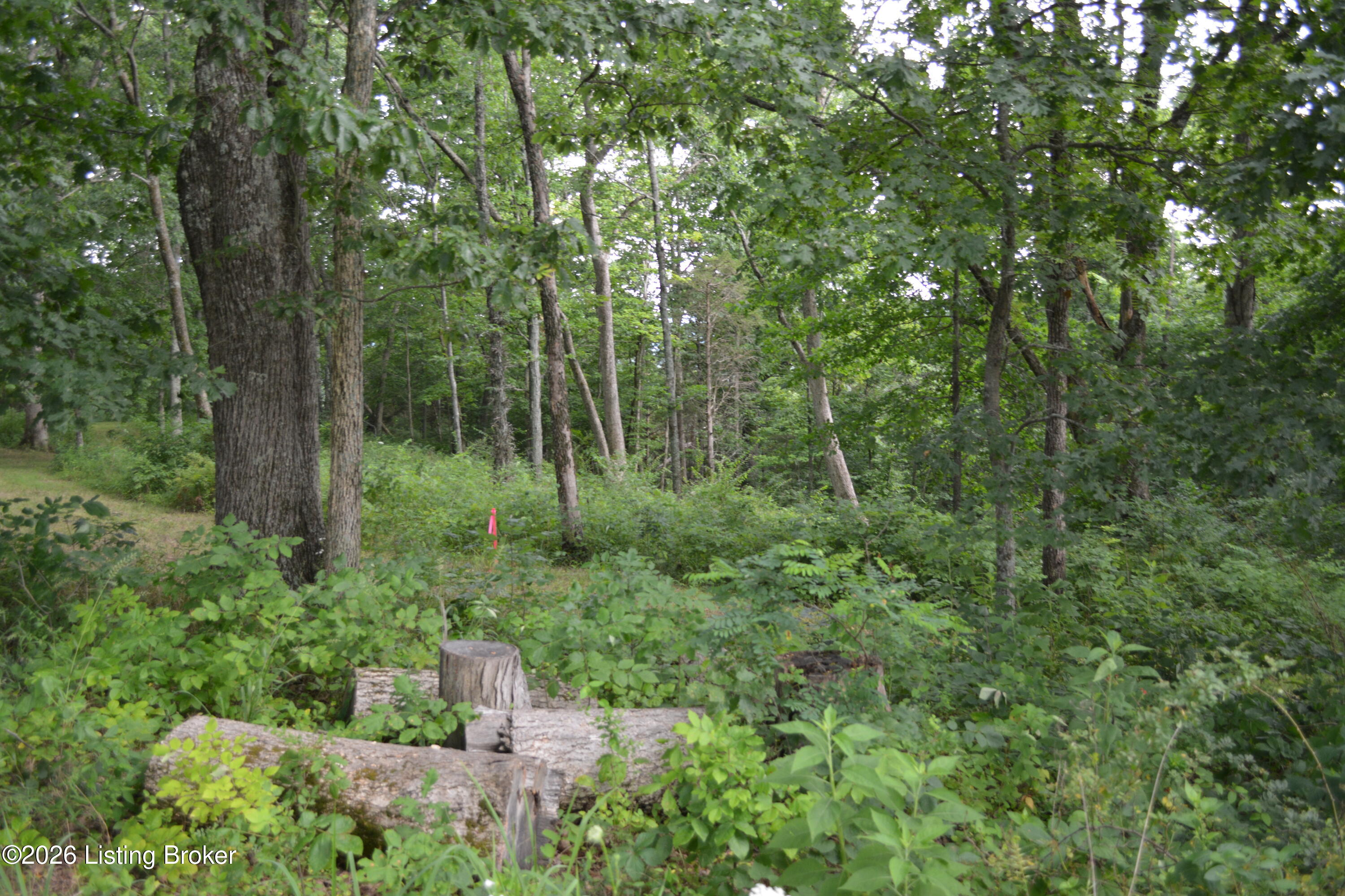 581 Noah's Ln Property Photo 40