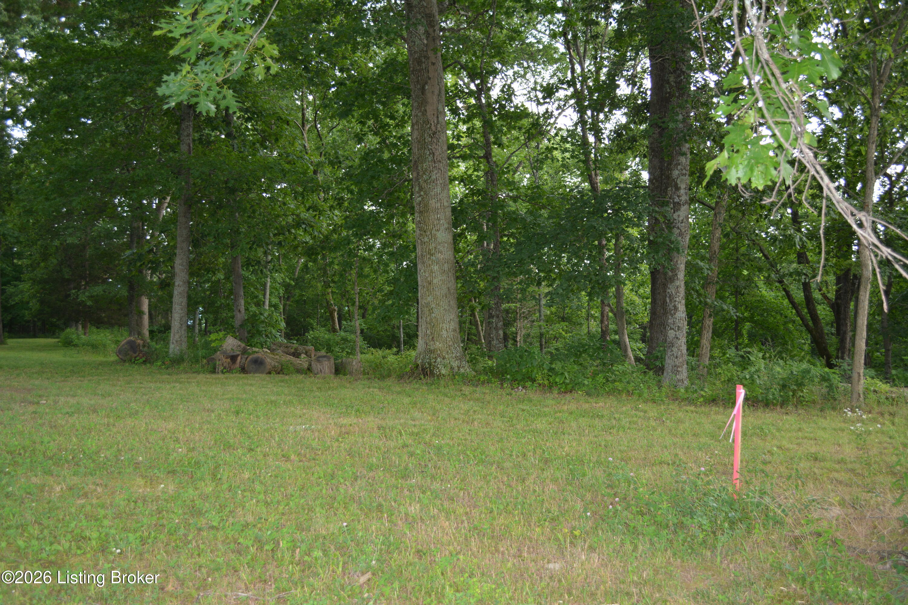 581 Noah's Ln Property Photo 41