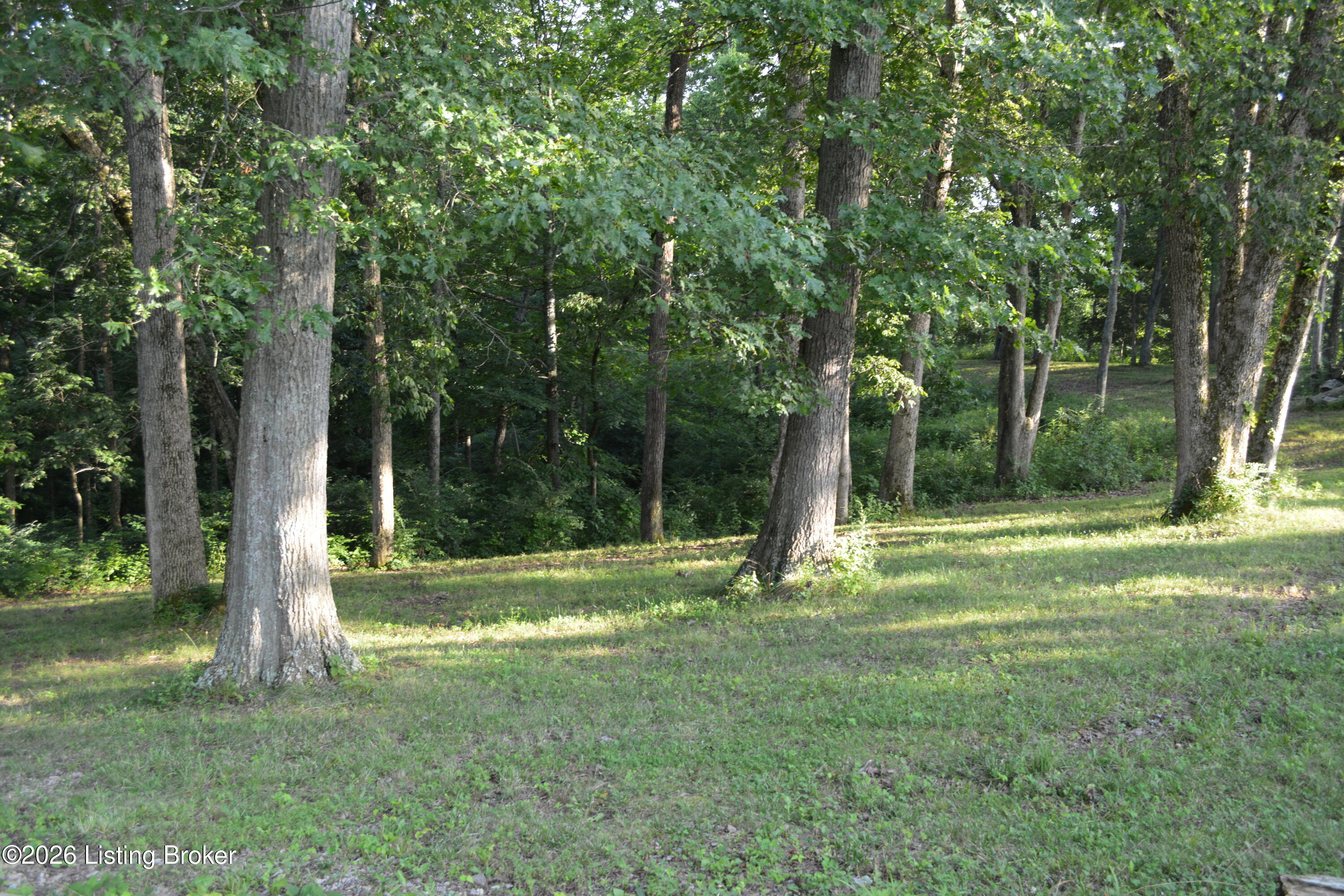 581 Noah's Ln Property Photo 48