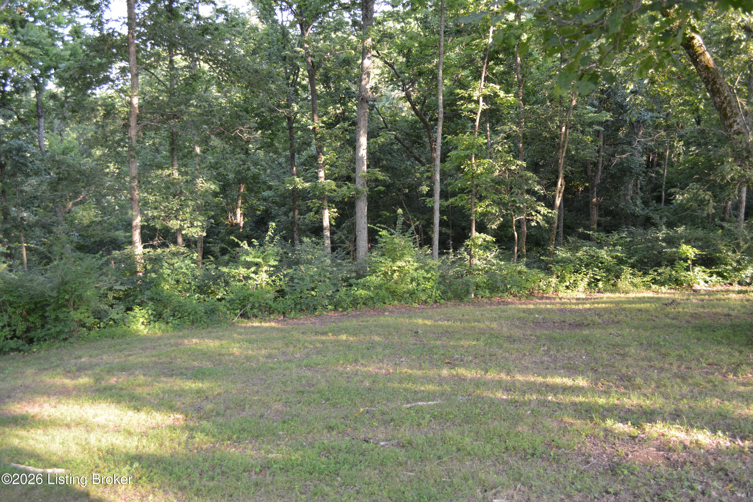 581 Noah's Ln Property Photo 50