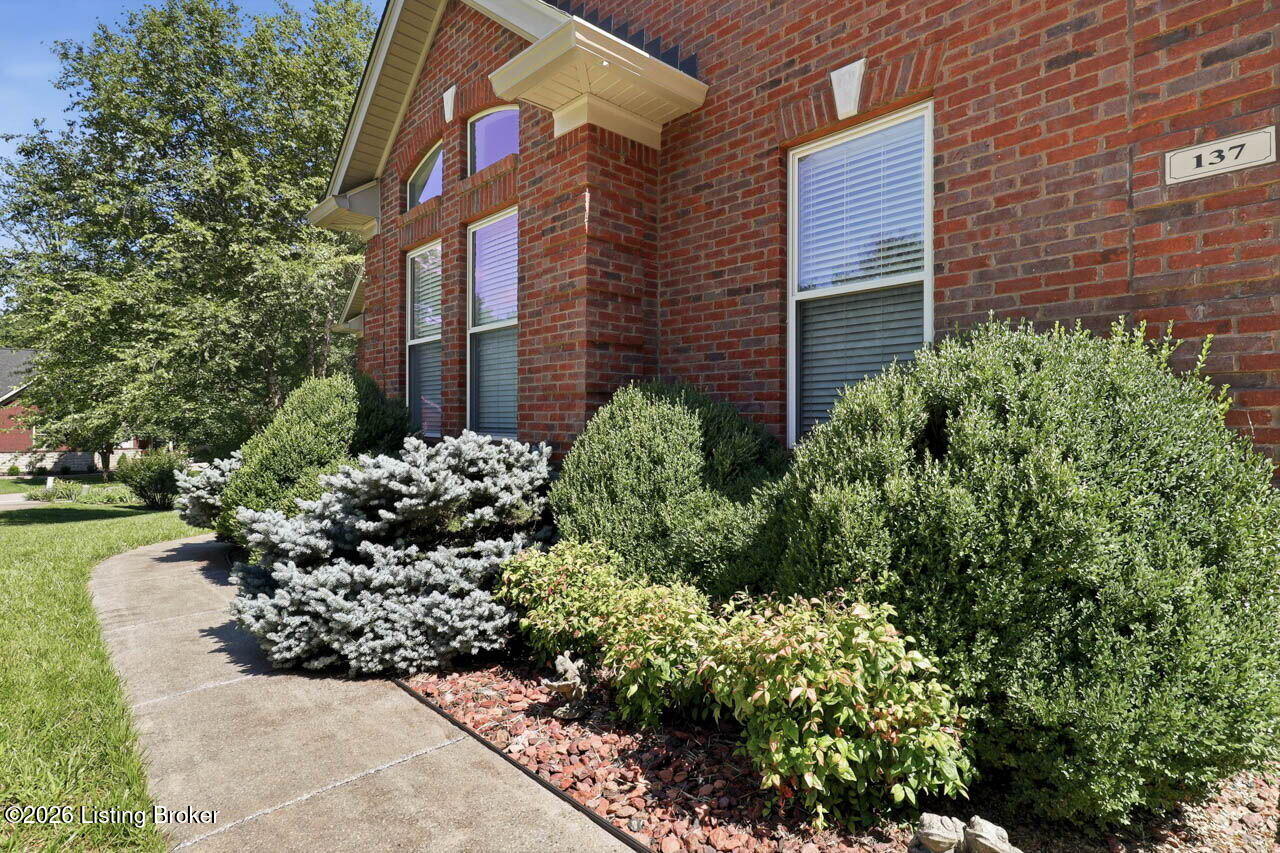 137 Dublin Dr Property Photo 6