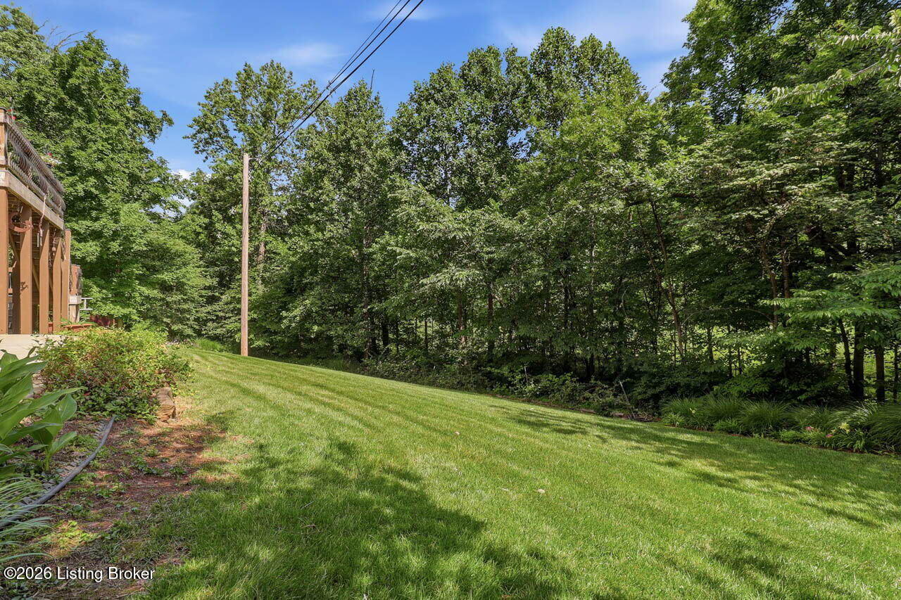 137 Dublin Dr Property Photo 73