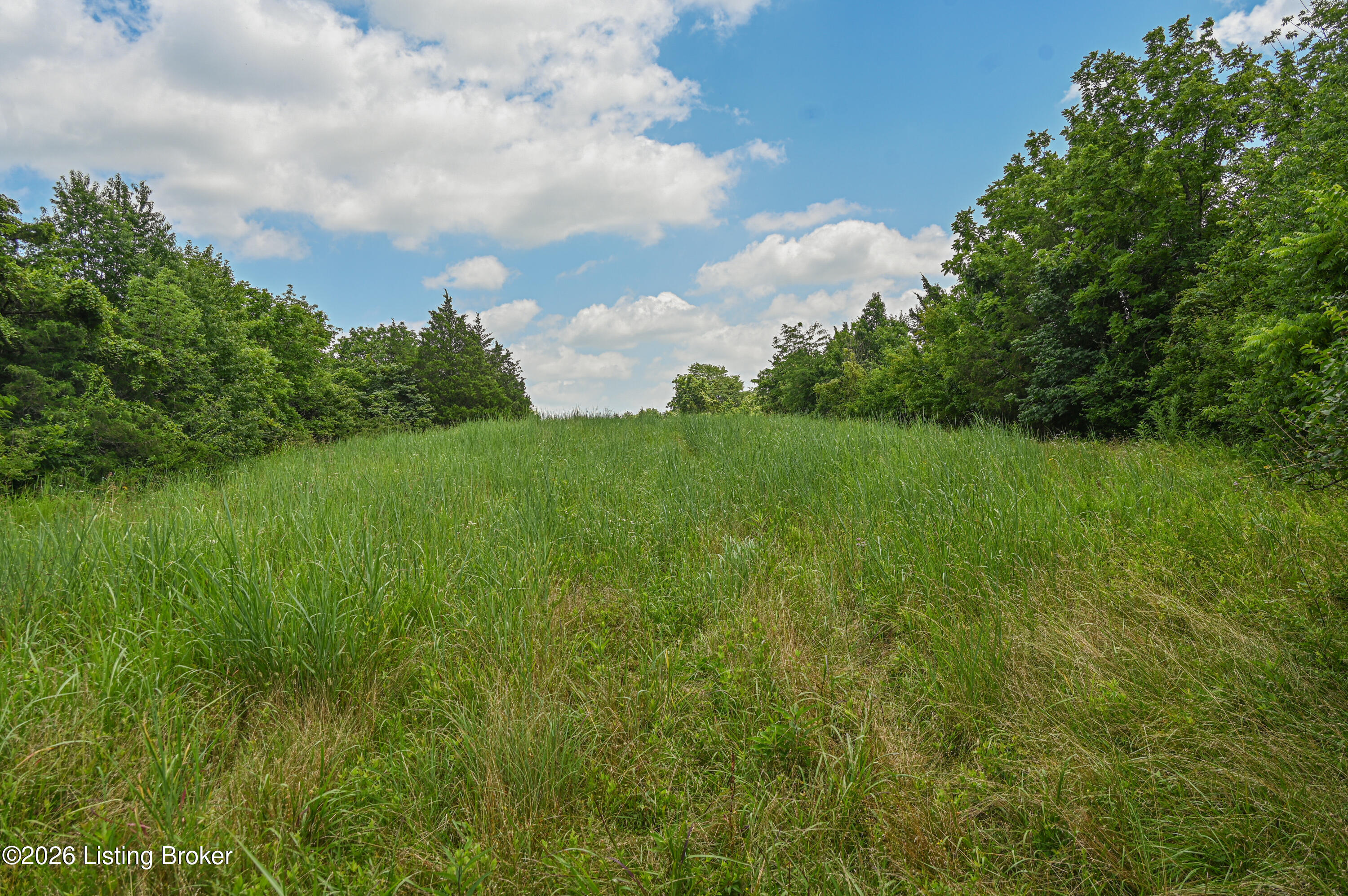 Tract A Bowman Ln Property Photo 45
