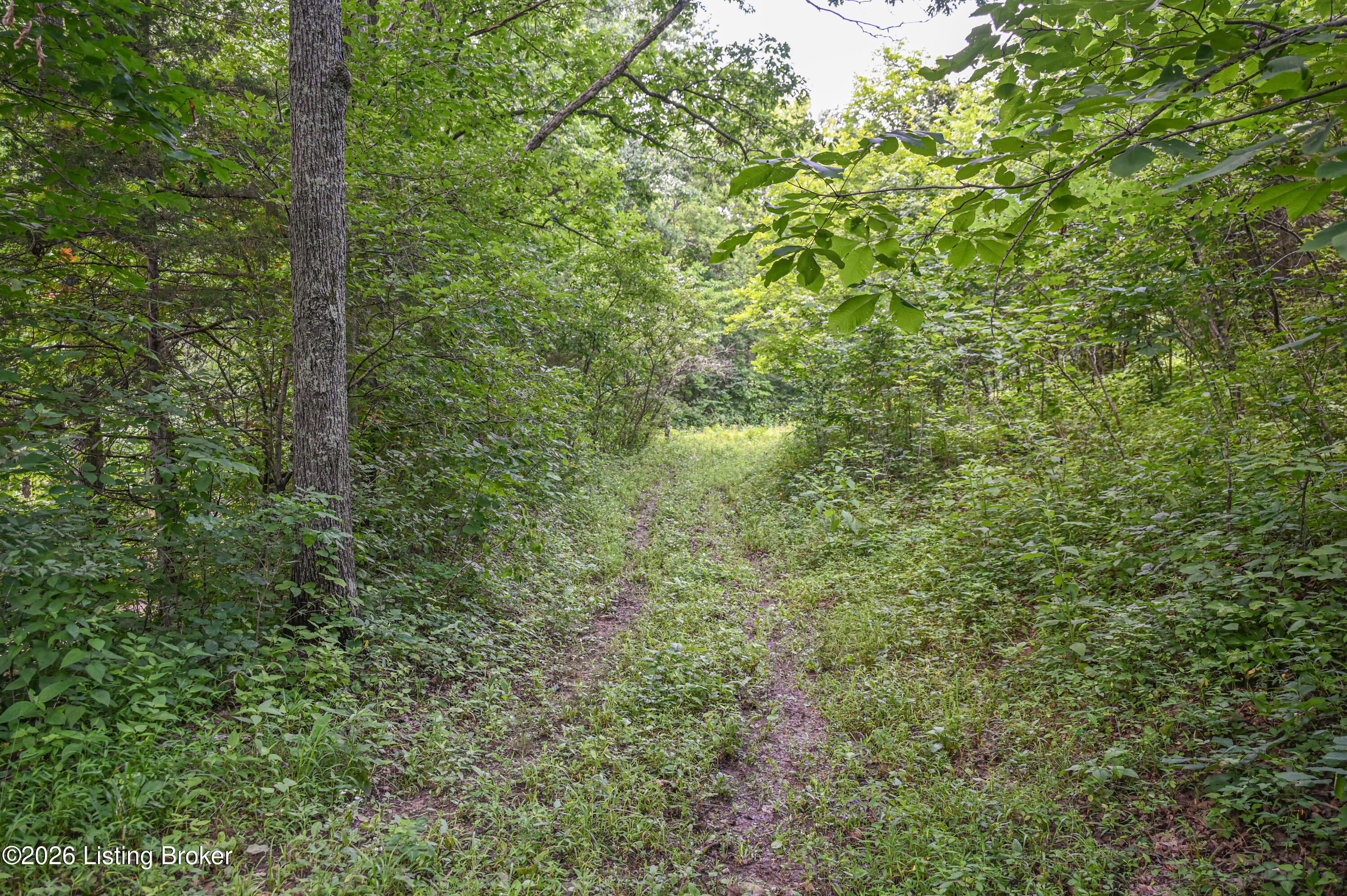 Tract C Bowman Ln Property Photo 7