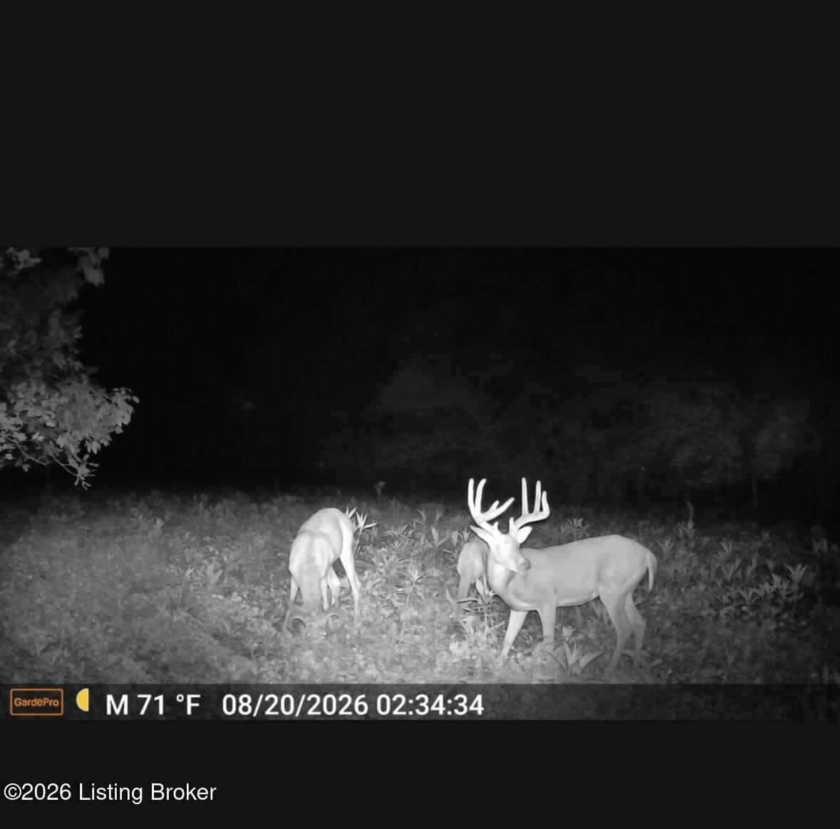 71 3 Lick Creek Rd Property Photo 1
