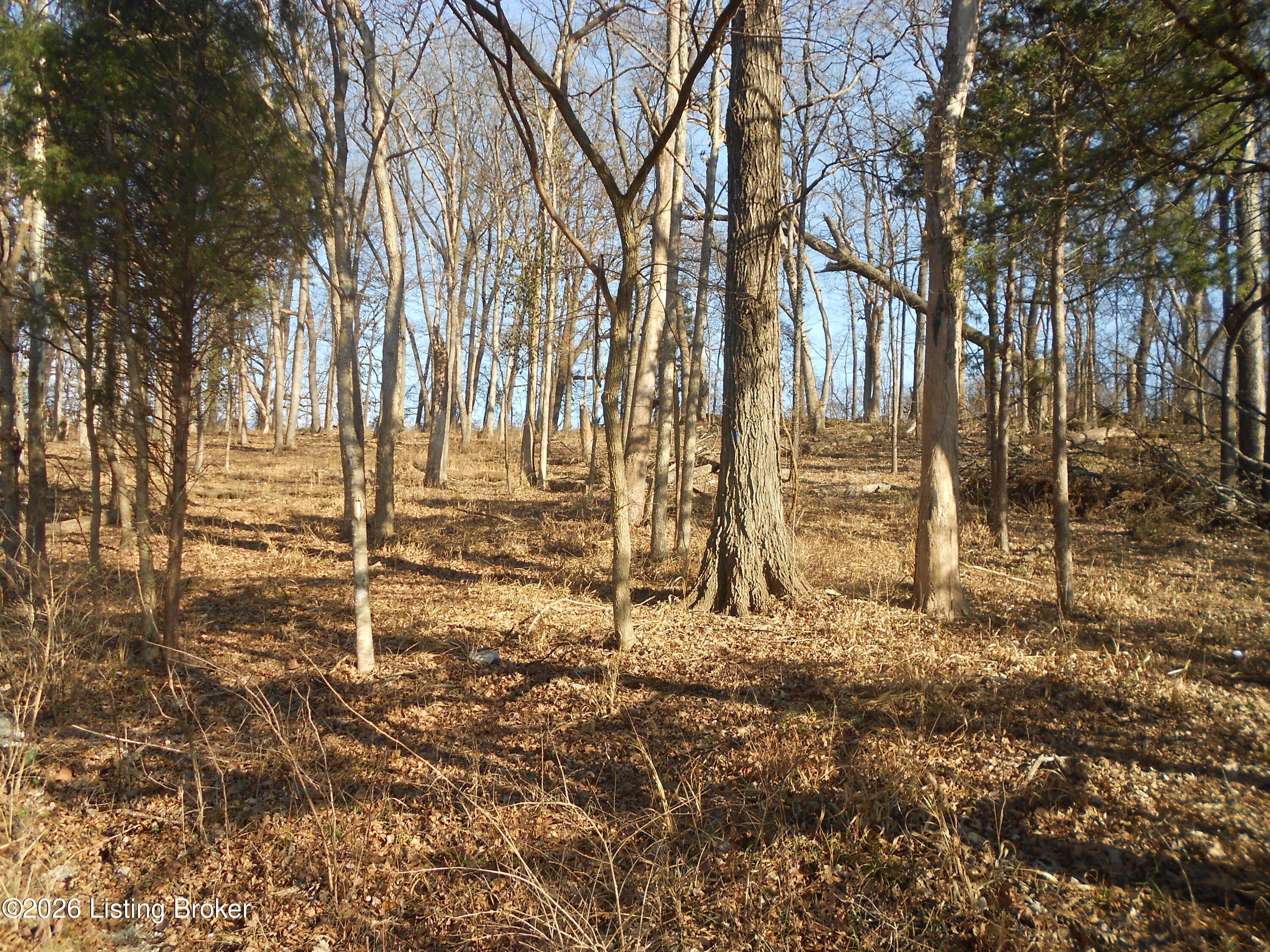 195 Sunset Dr Property Photo 2