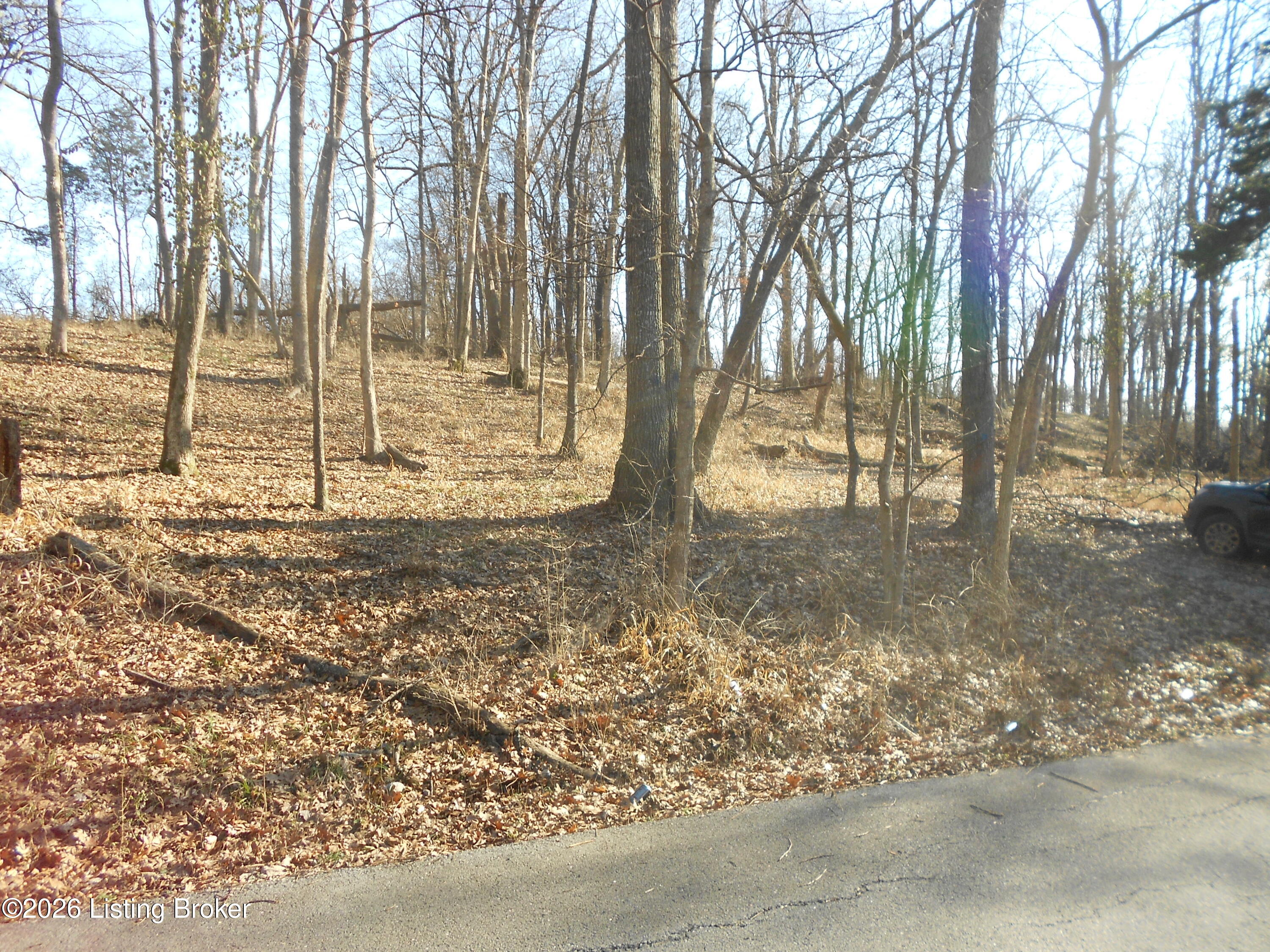 195 Sunset Dr Property Photo 4
