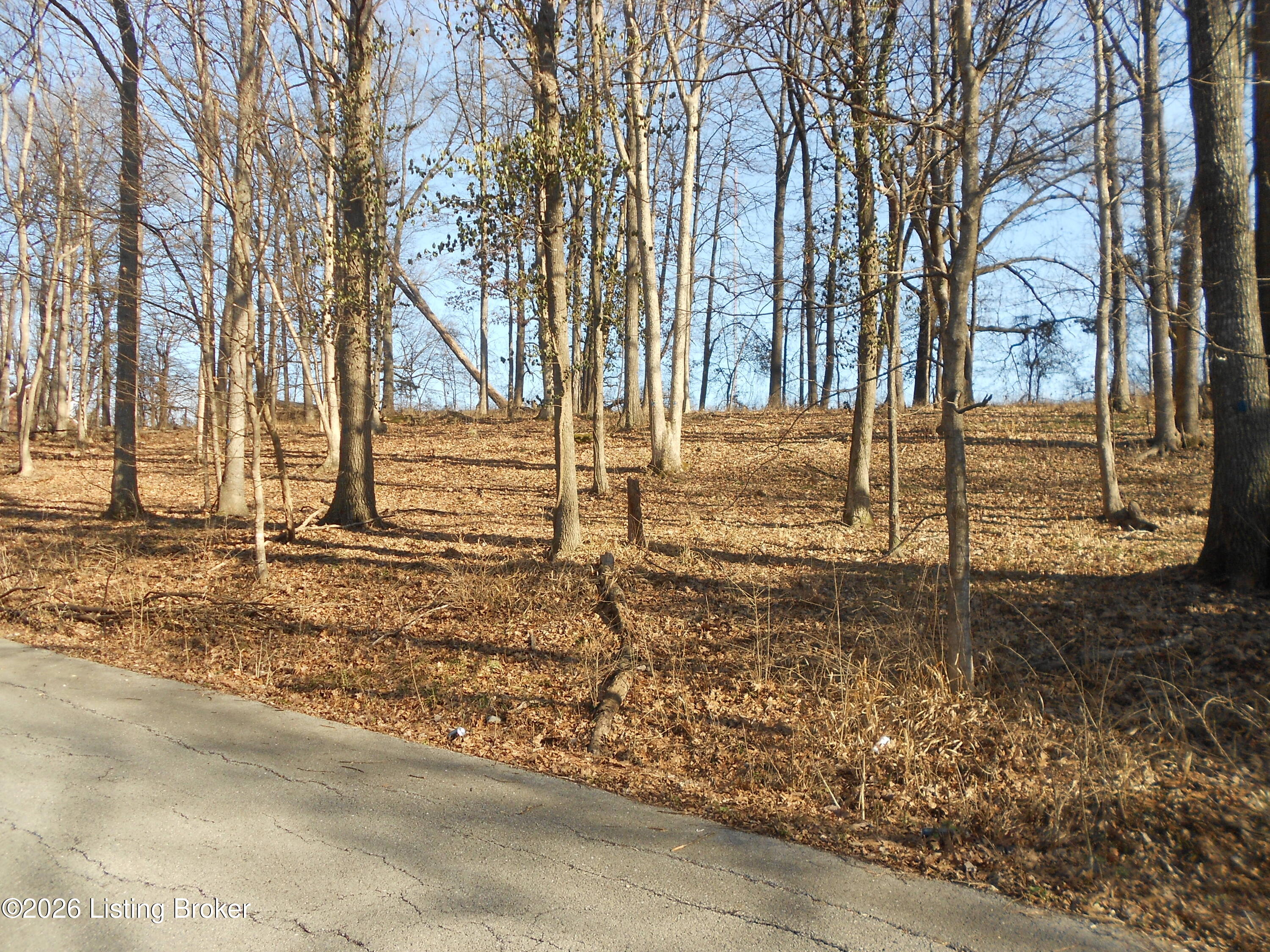 195 Sunset Dr Property Photo 5