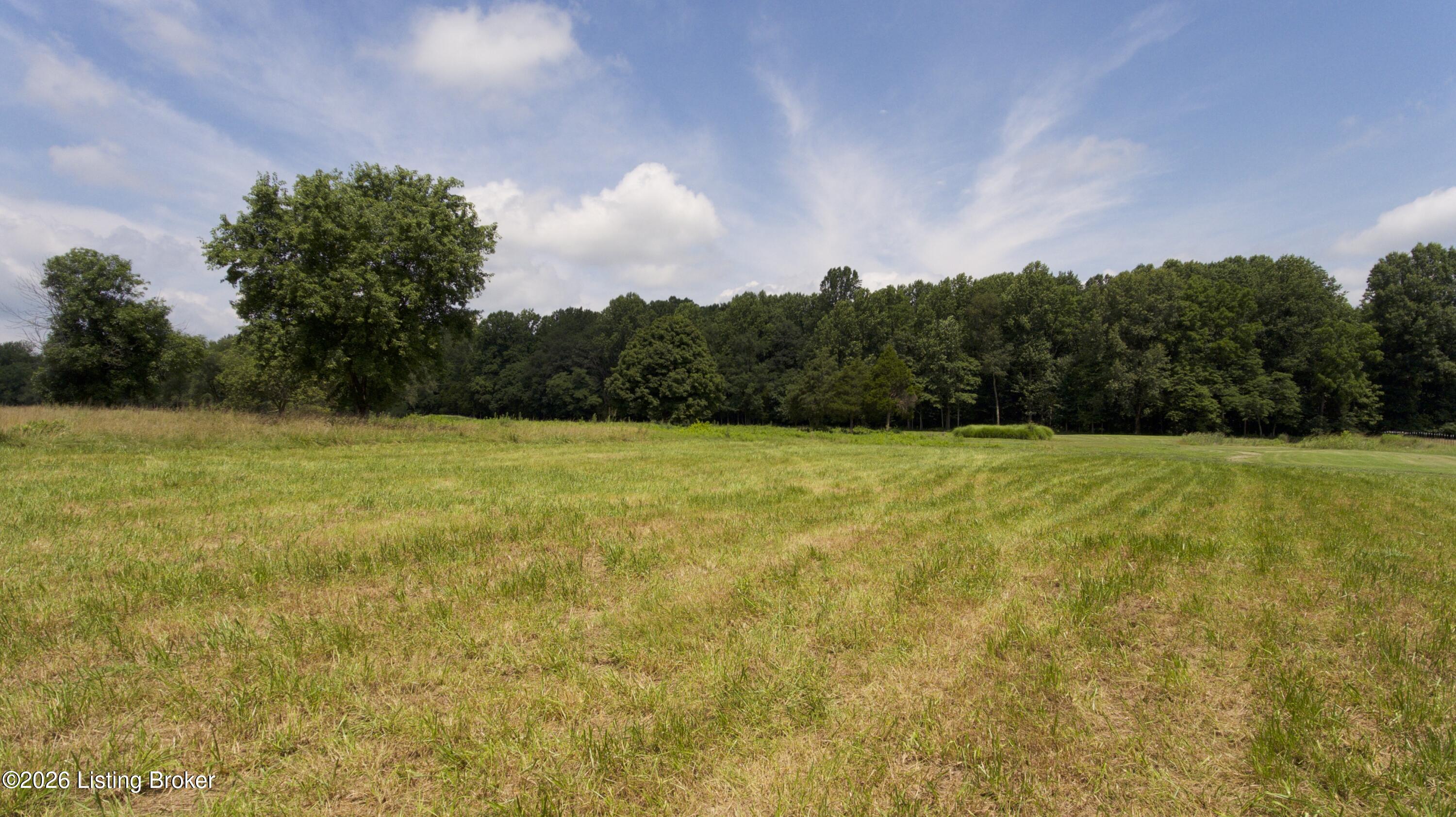 2330 New Shepherdsville Rd Property Photo 52
