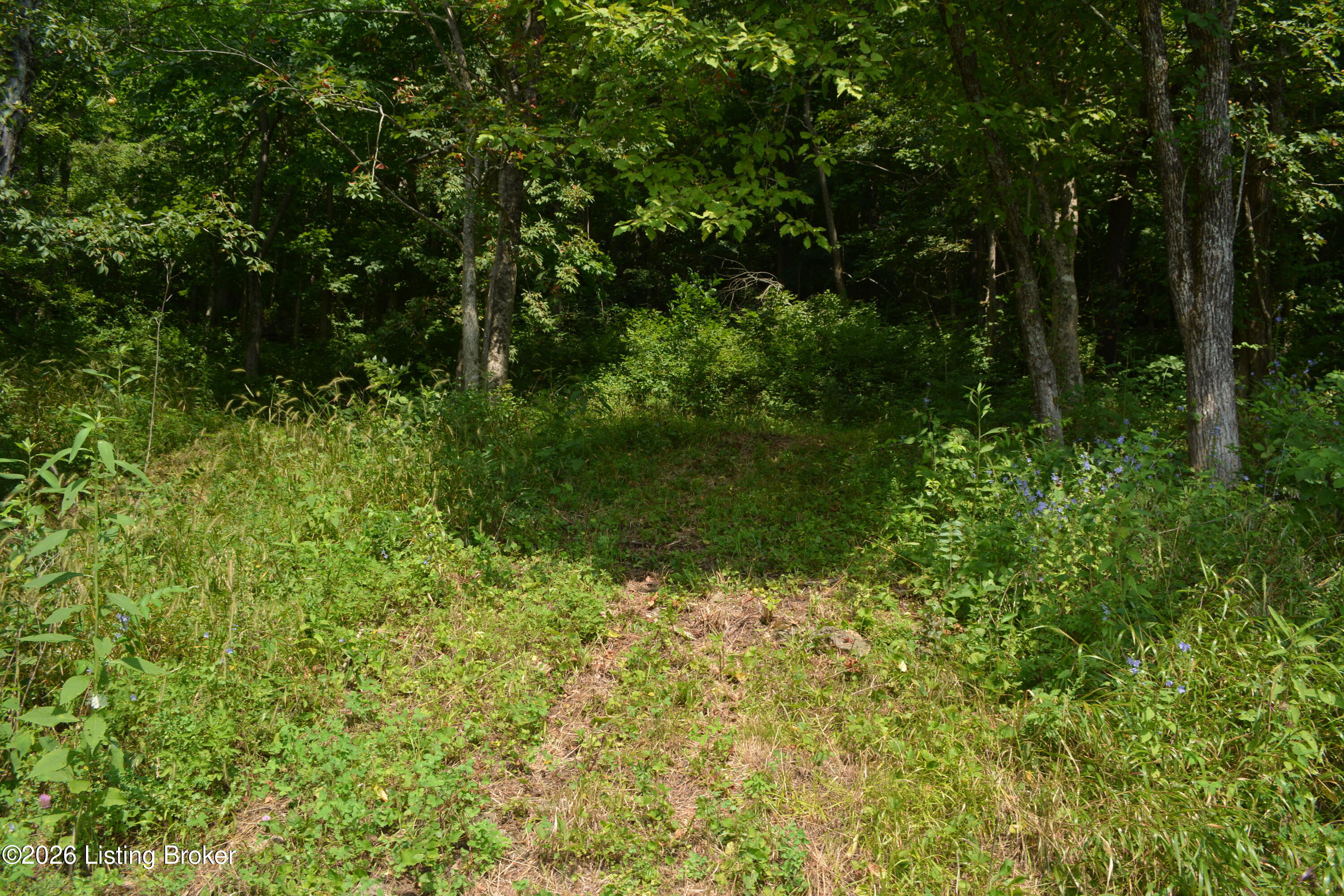 0000 Carlisle Rd Property Photo 28