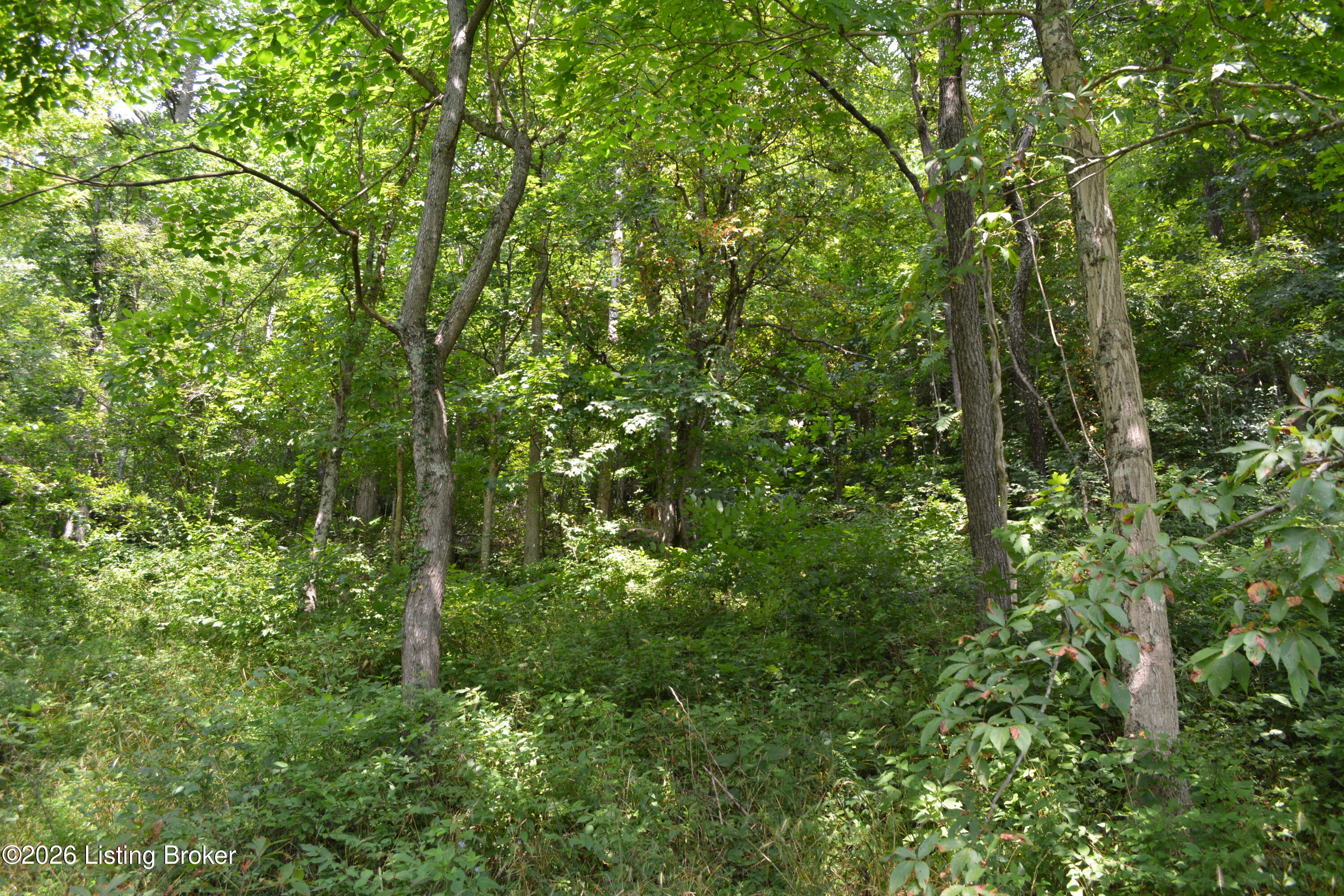 0000 Carlisle Rd Property Photo 30