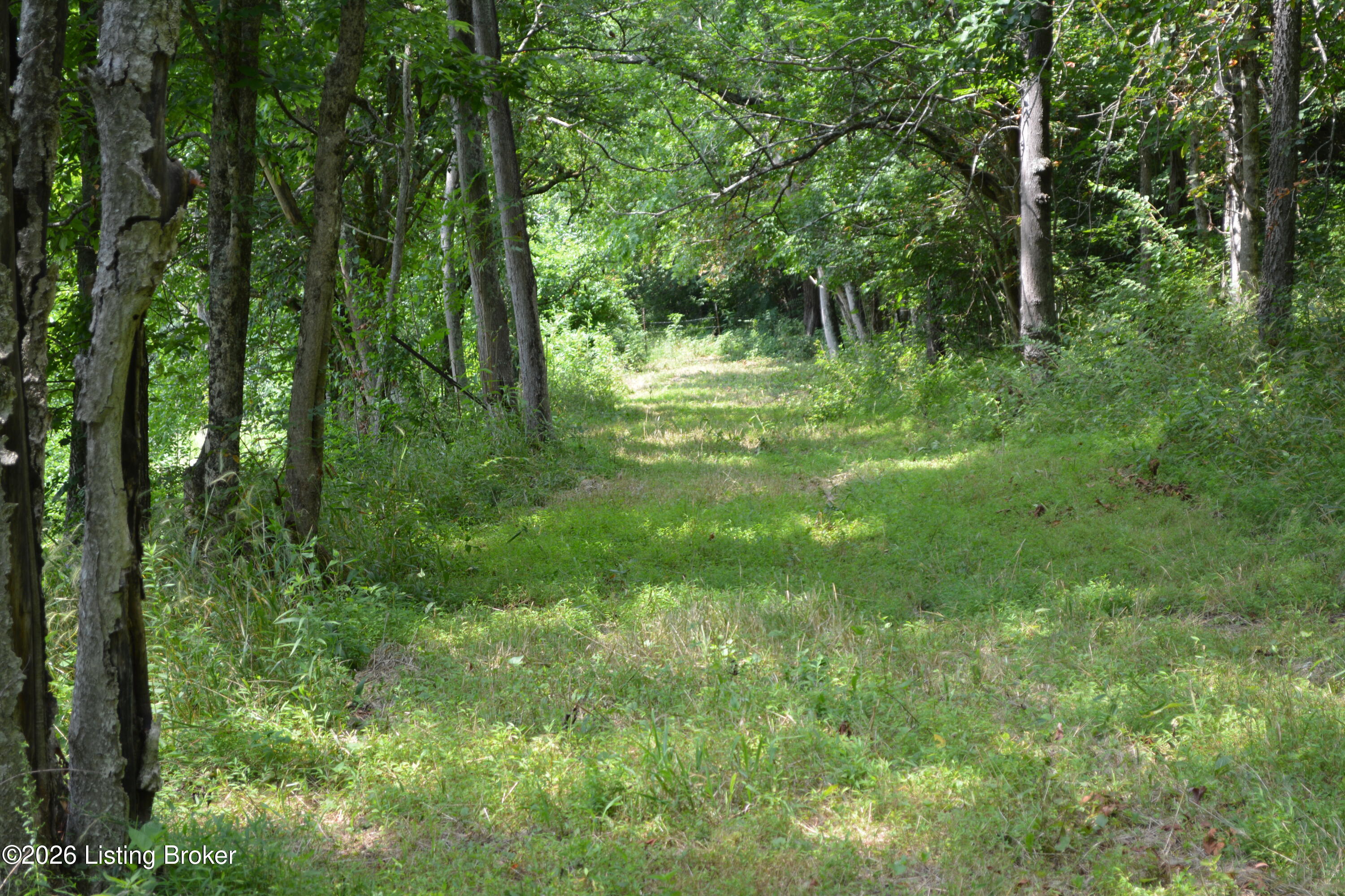 0000 Carlisle Rd Property Photo 32