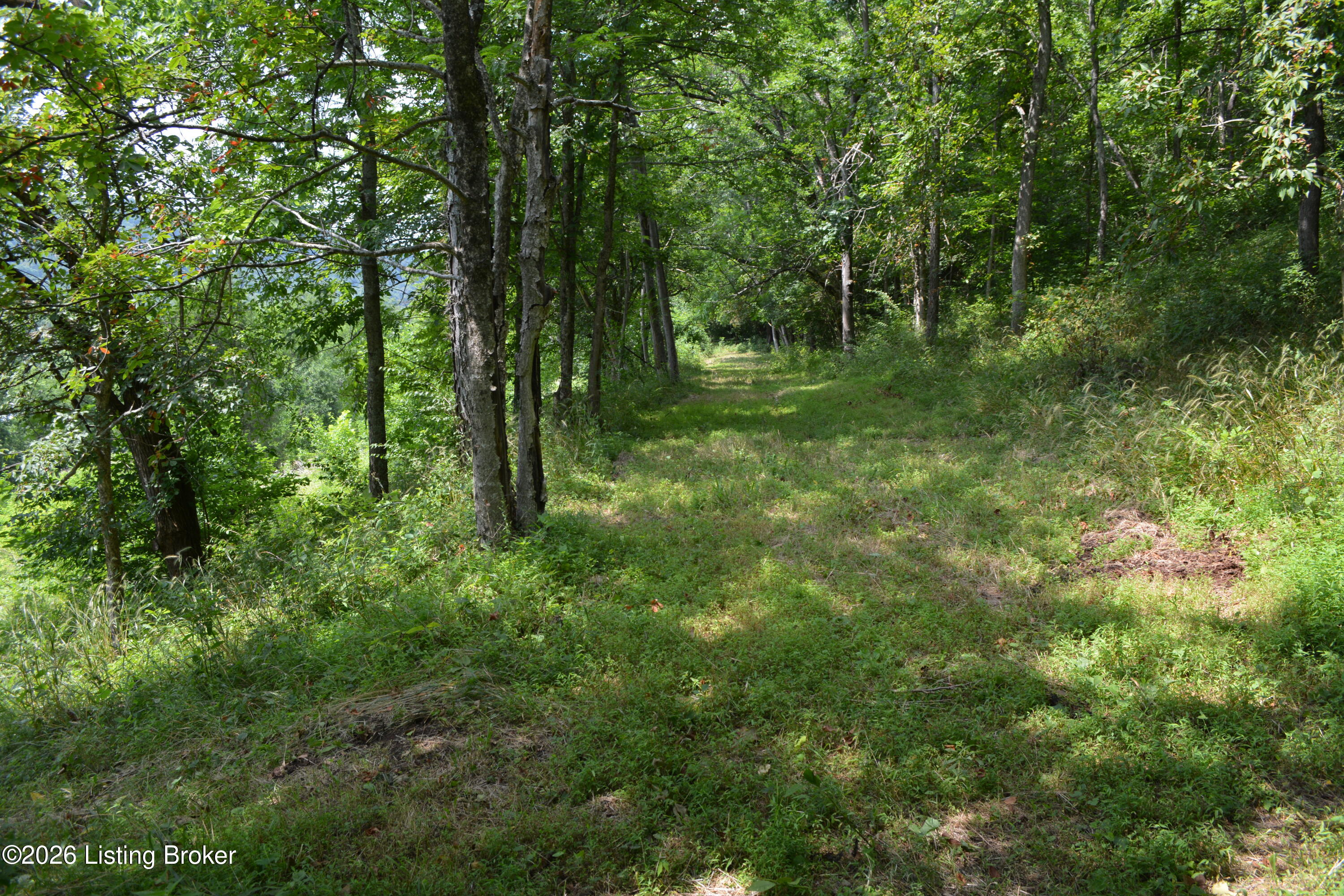 0000 Carlisle Rd Property Photo 33