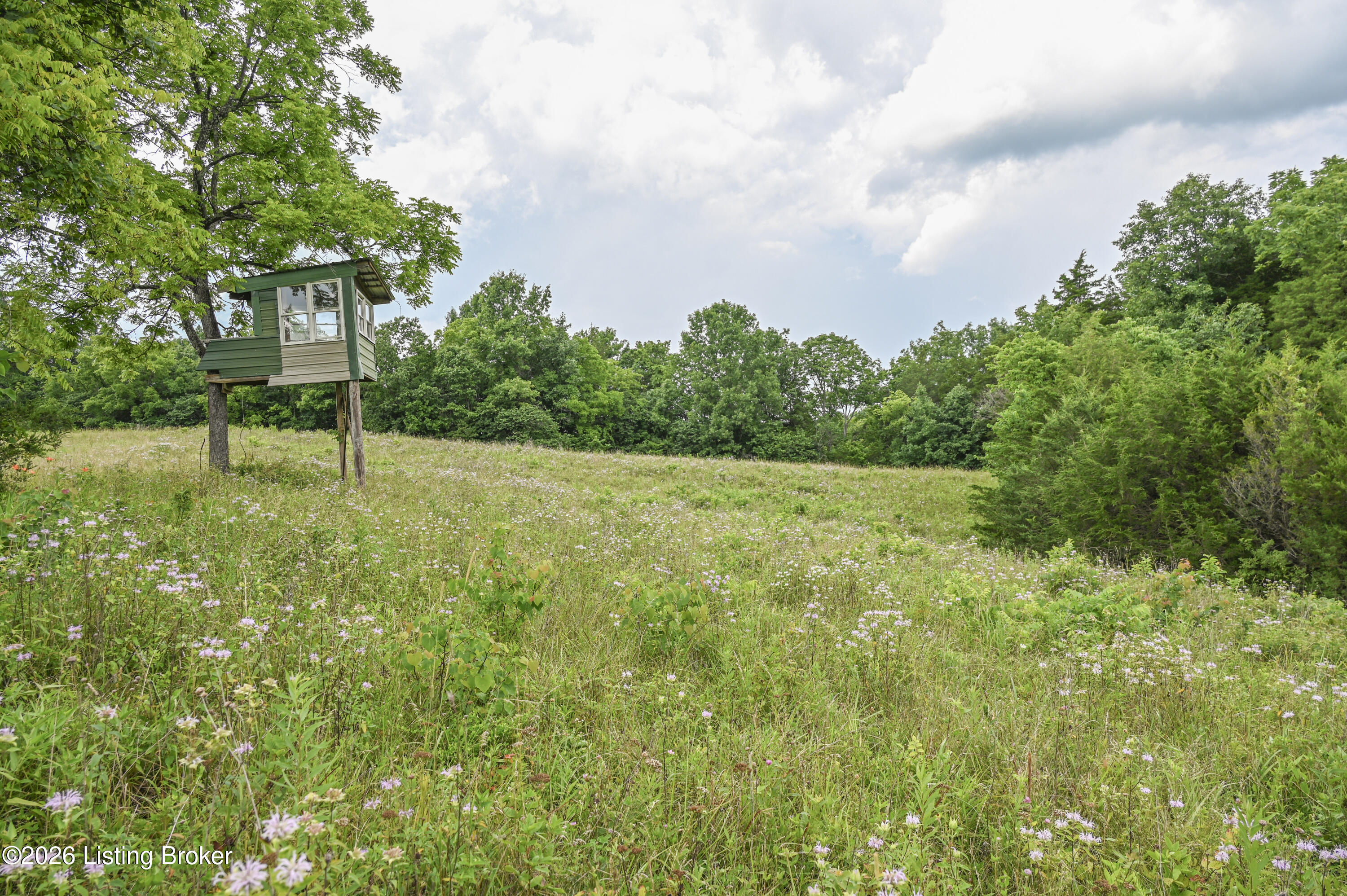 70 Three Licks Rd Property Photo 69