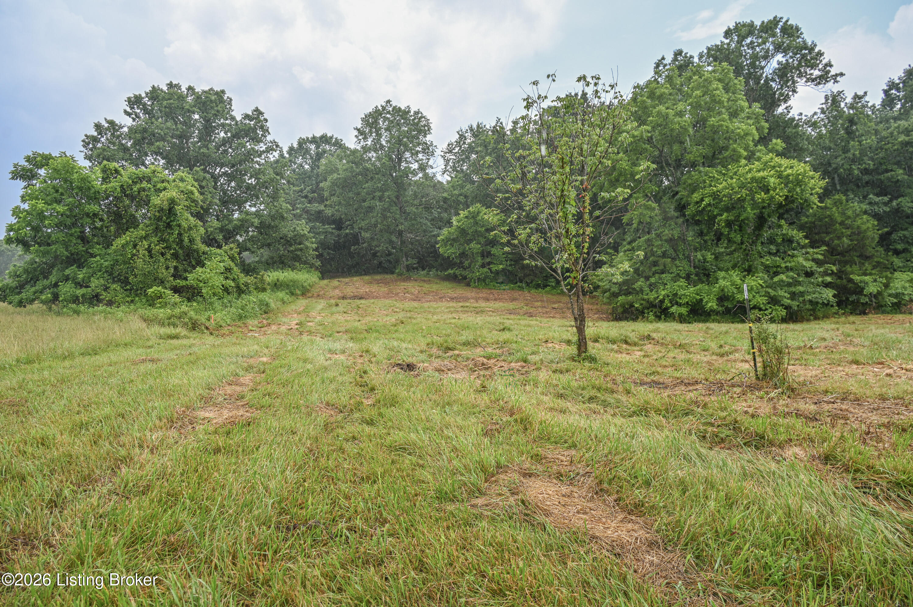 989 Beechridge Rd Property Photo 3